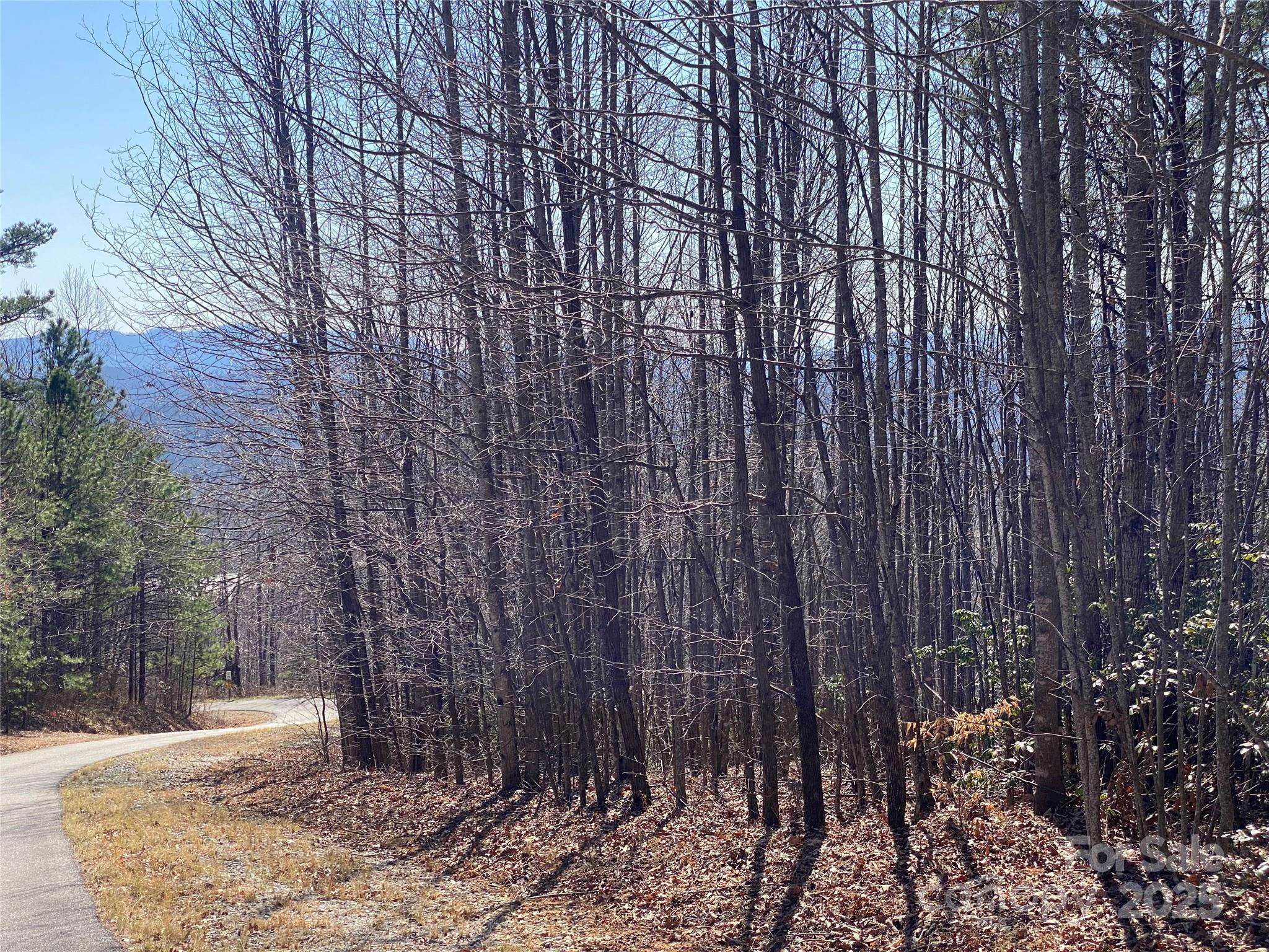 Lot 72 Mountain Crest DR S, Marion, NC 28752