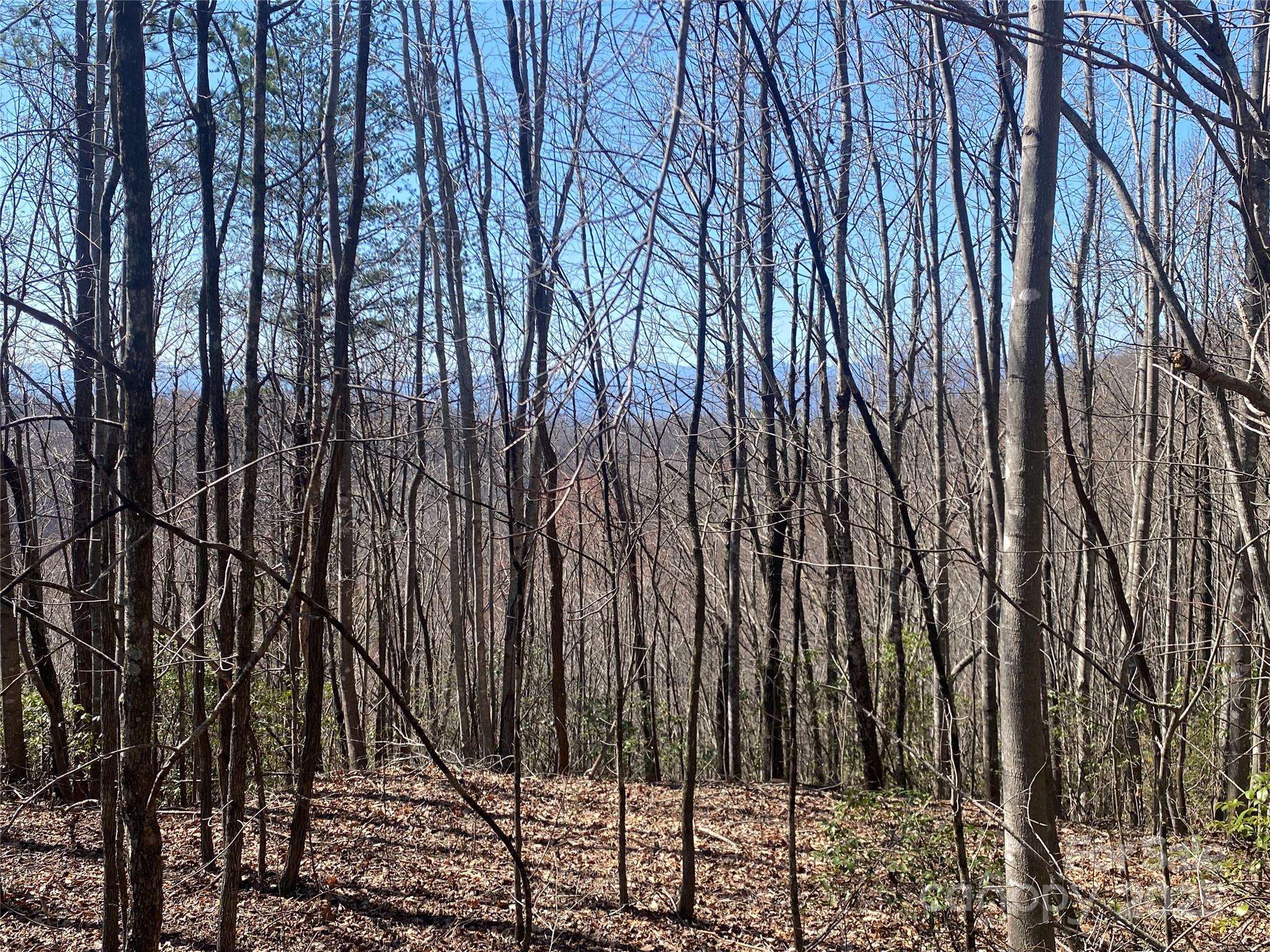 Lot 72 Mountain Crest DR S, Marion, NC 28752