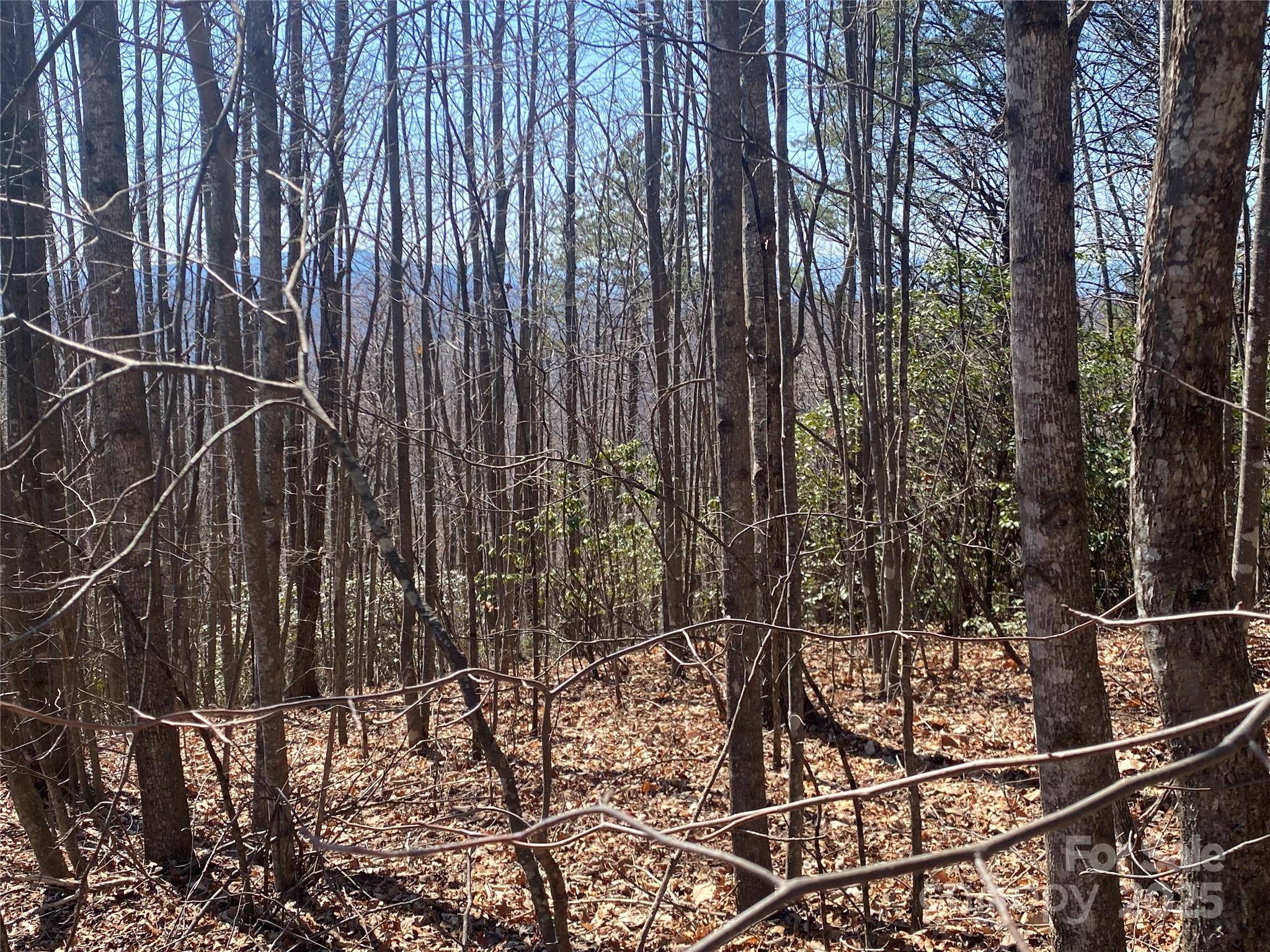Lot 72 Mountain Crest DR S, Marion, NC 28752
