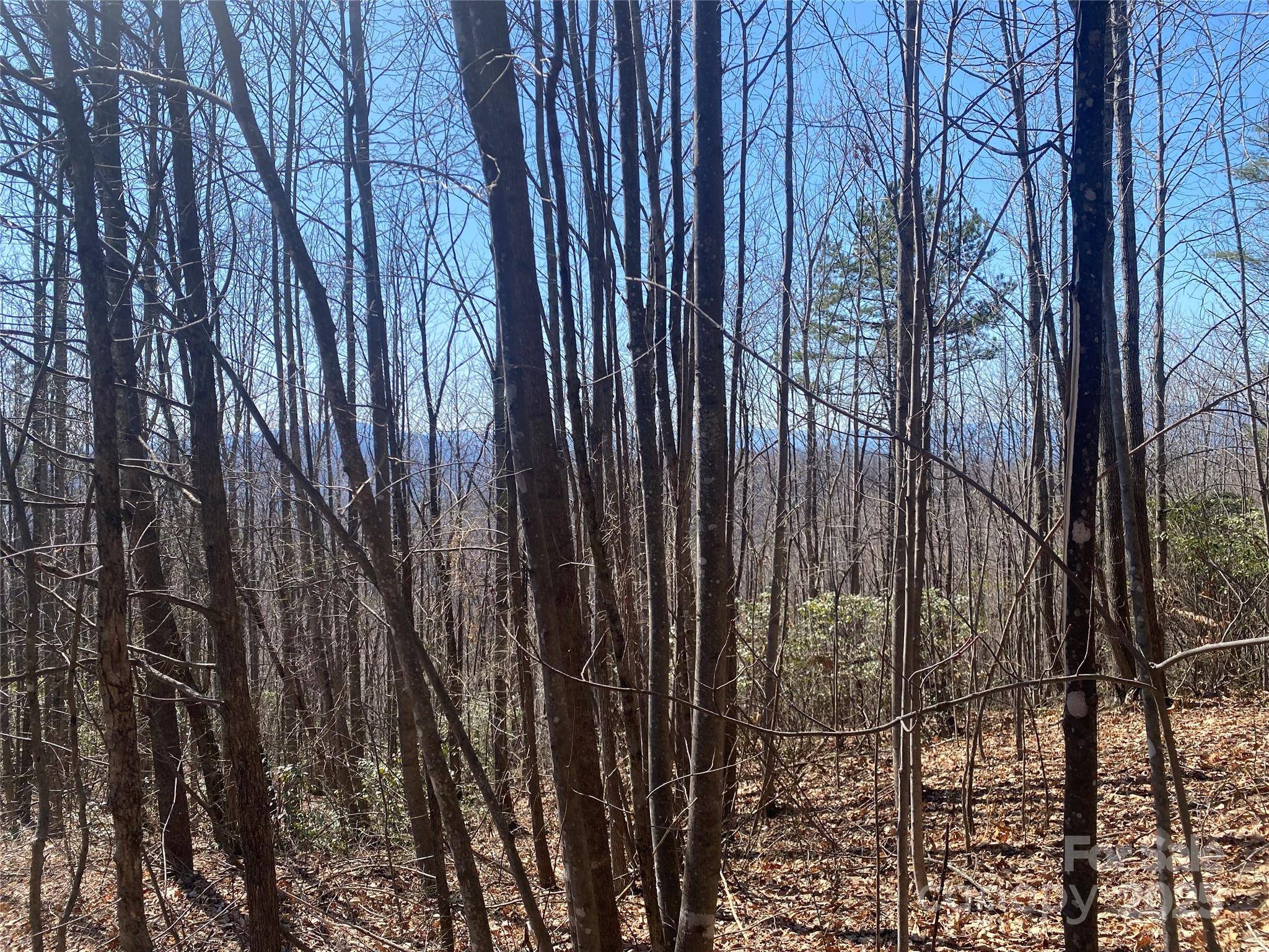 Lot 72 Mountain Crest DR S, Marion, NC 28752