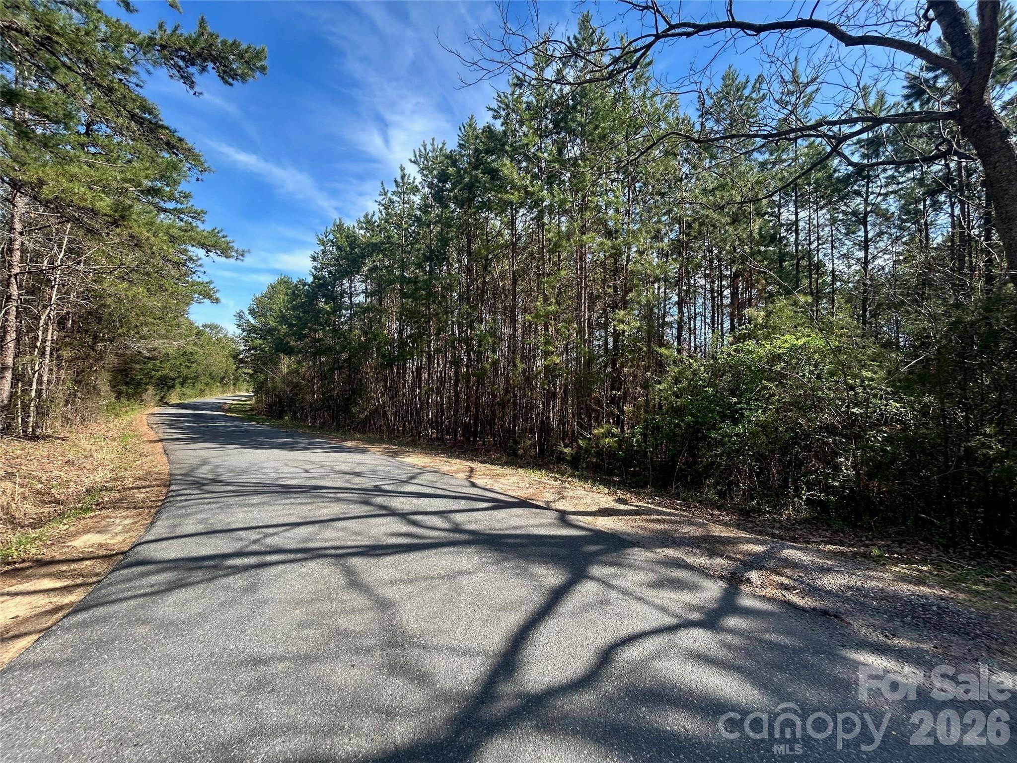 TBD Green Pond RD, Indian Land, SC 29707