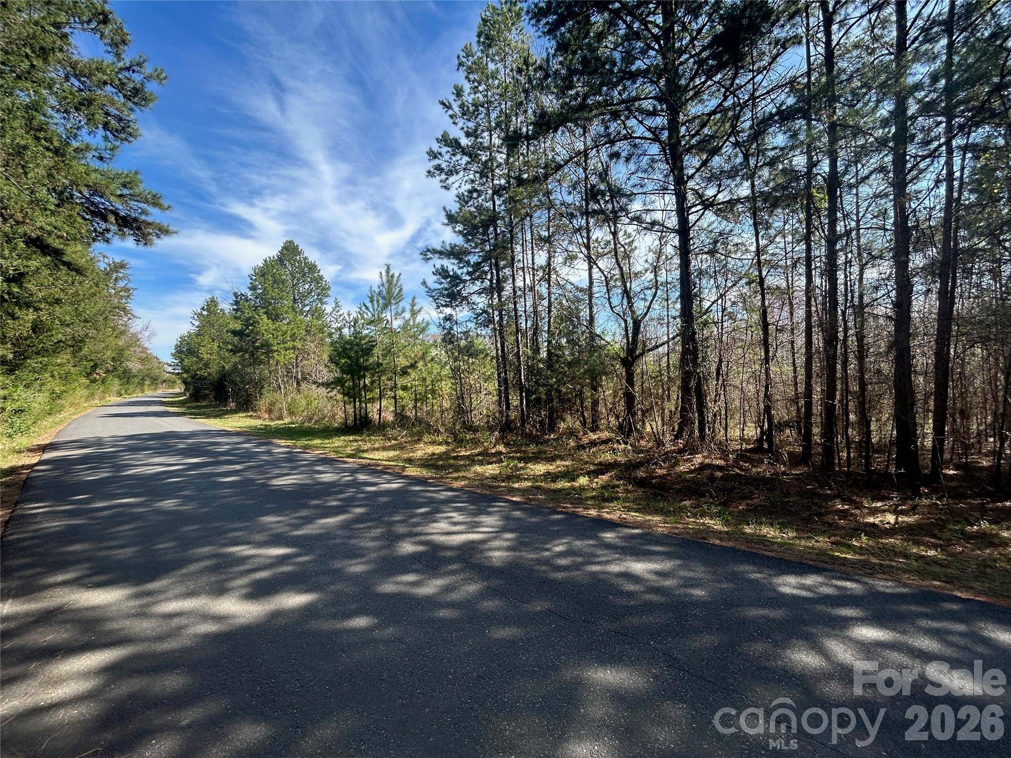 TBD Green Pond RD, Indian Land, SC 29707