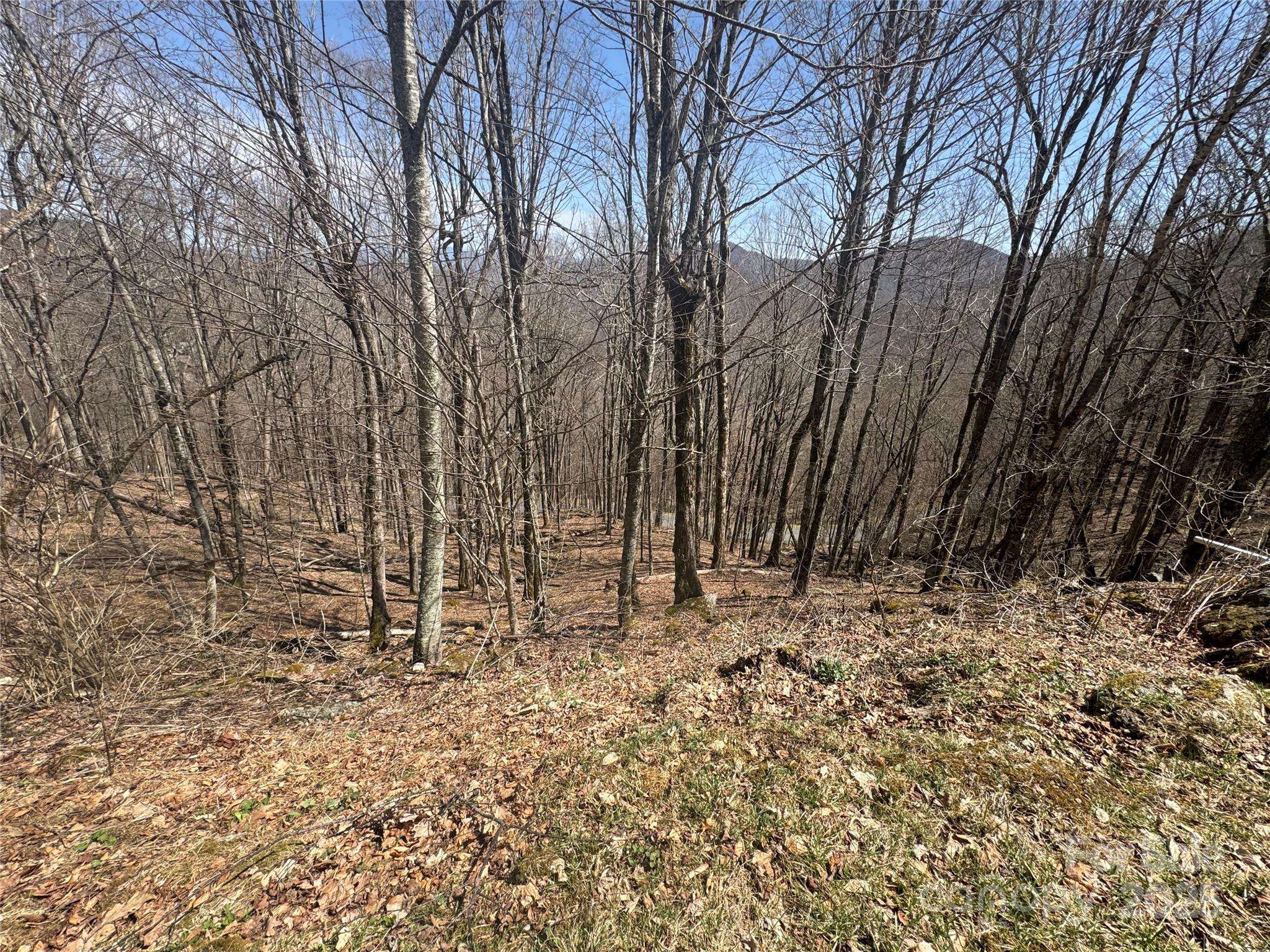14 & 16 Overlook DR, Mars Hill, NC 28754