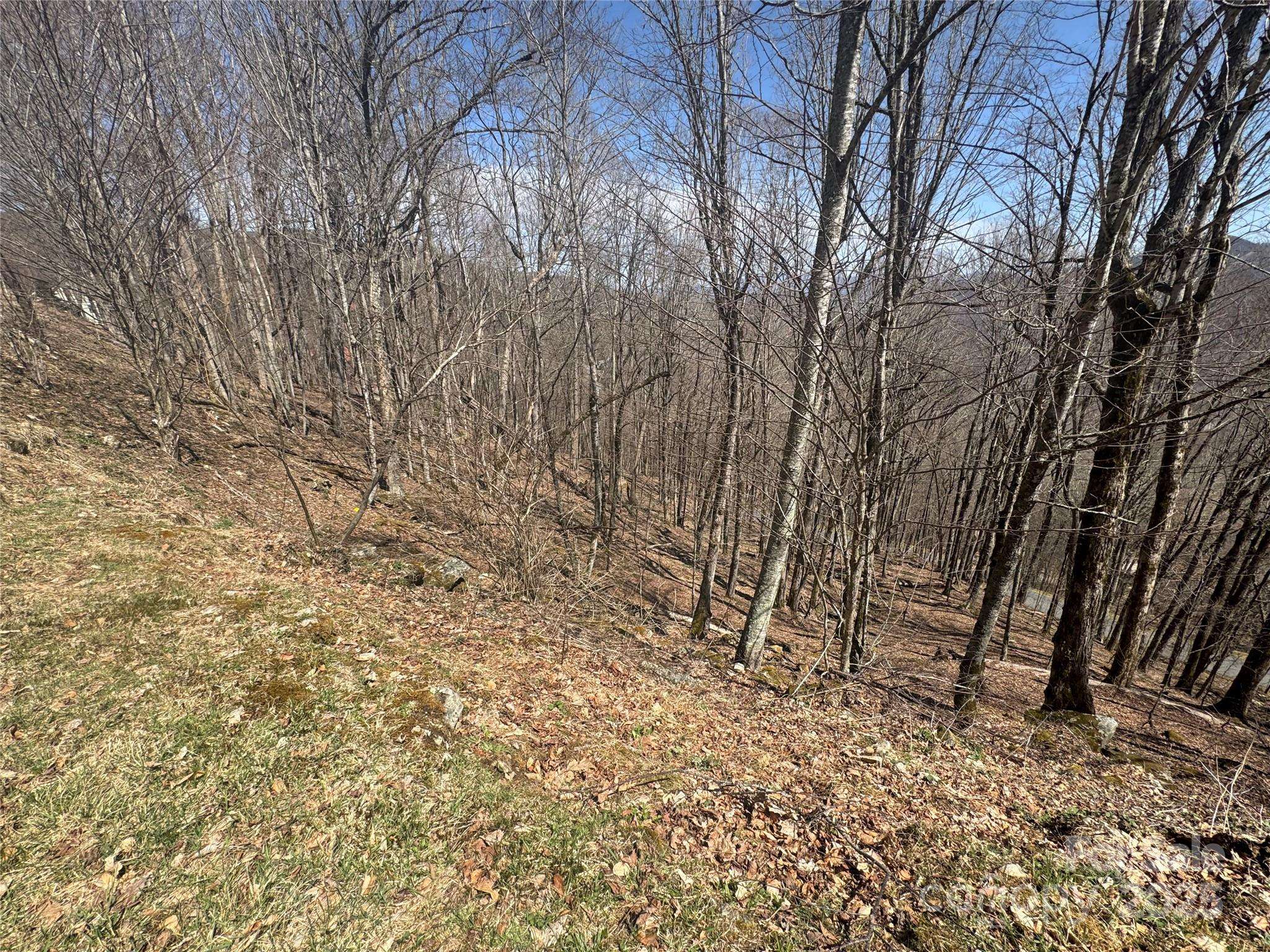 14 & 16 Overlook DR, Mars Hill, NC 28754