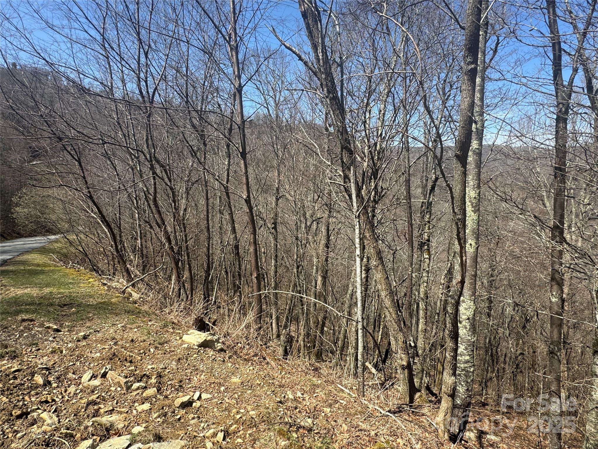 53 & 55 Running Cedar DR, Mars Hill, NC 28754