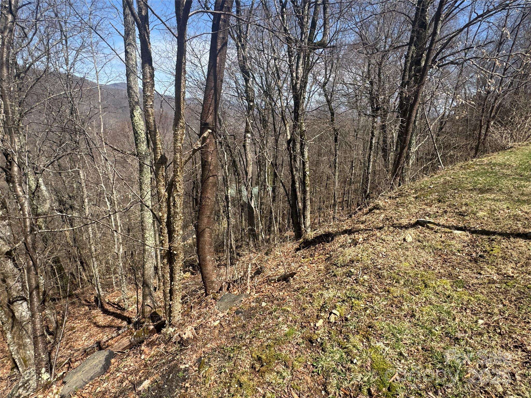 53 & 55 Running Cedar DR, Mars Hill, NC 28754