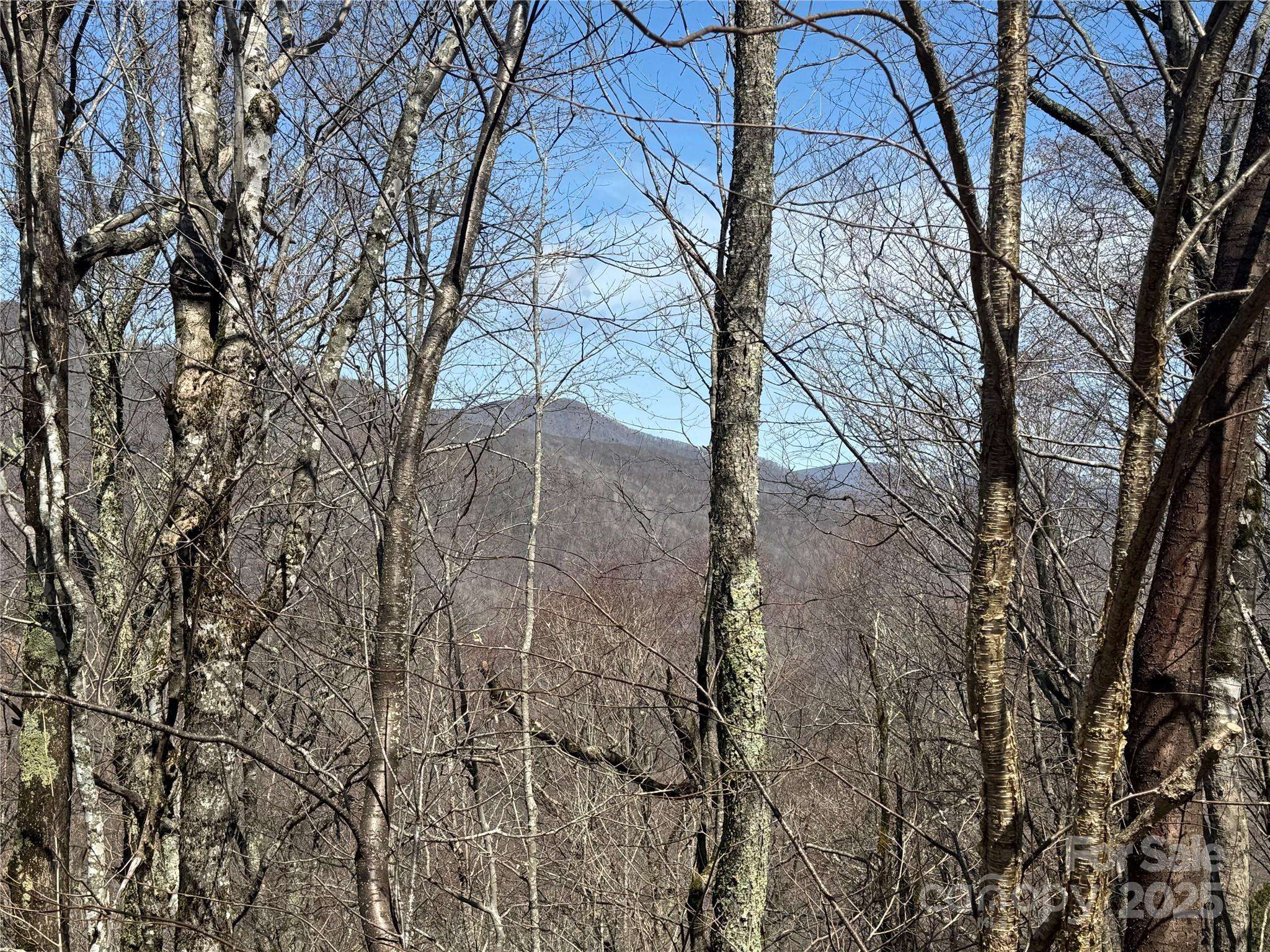 53 & 55 Running Cedar DR, Mars Hill, NC 28754