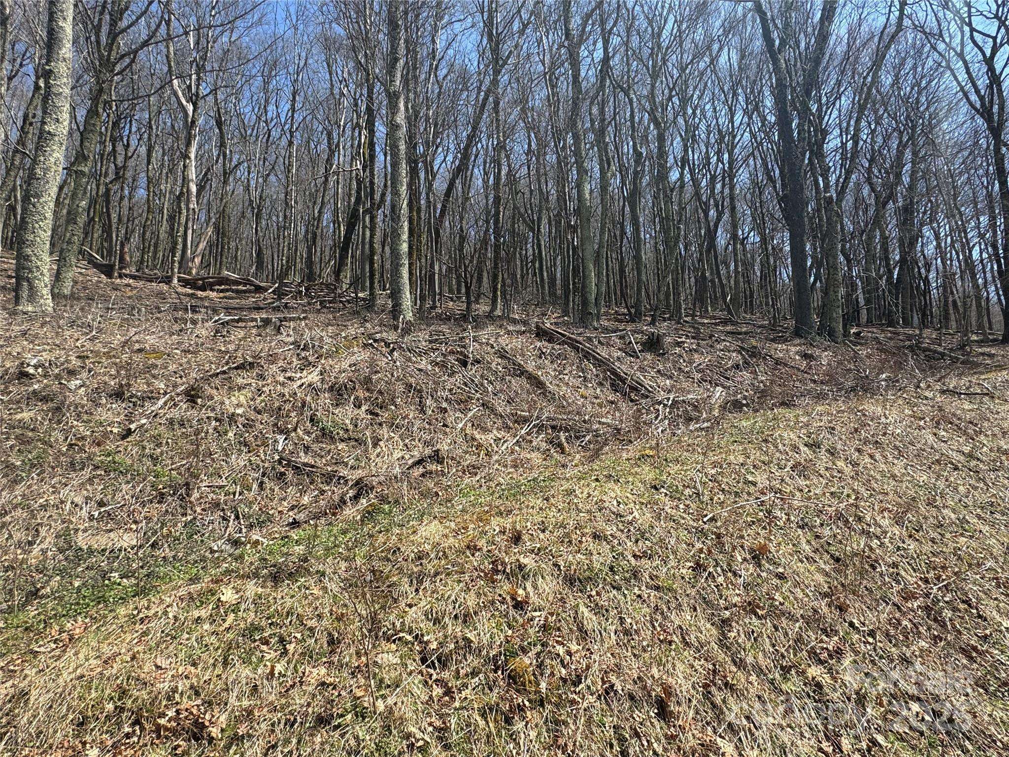 244 & 245 Grouse Thicket LN, Mars Hill, NC 28754