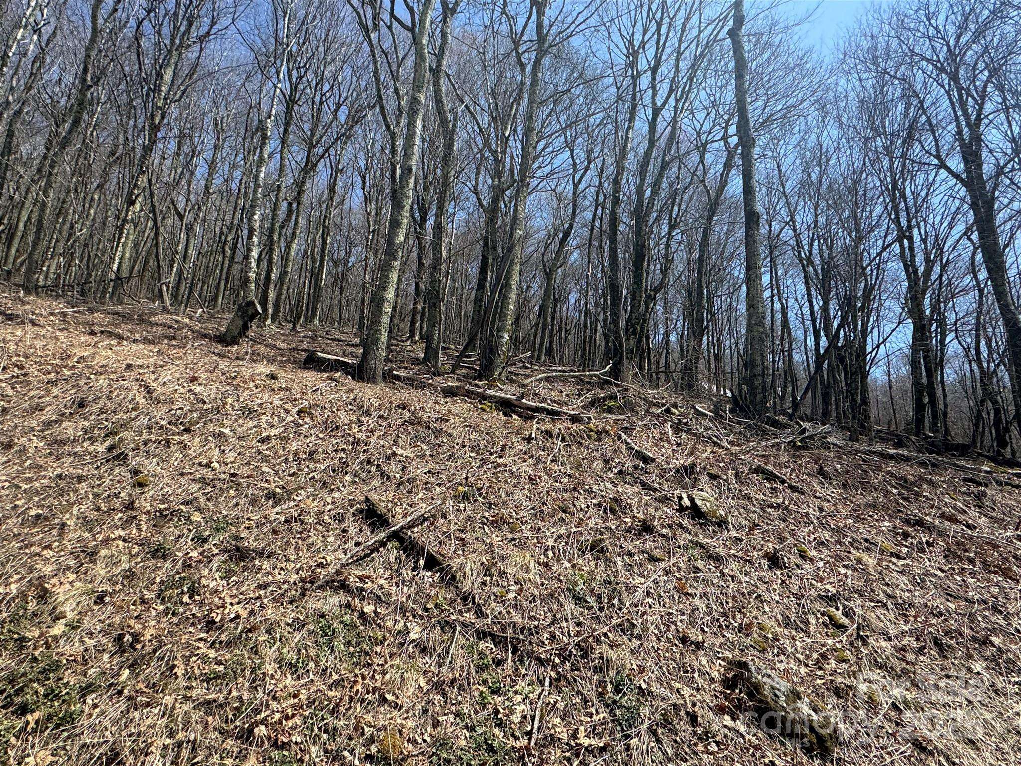 244 & 245 Grouse Thicket LN, Mars Hill, NC 28754