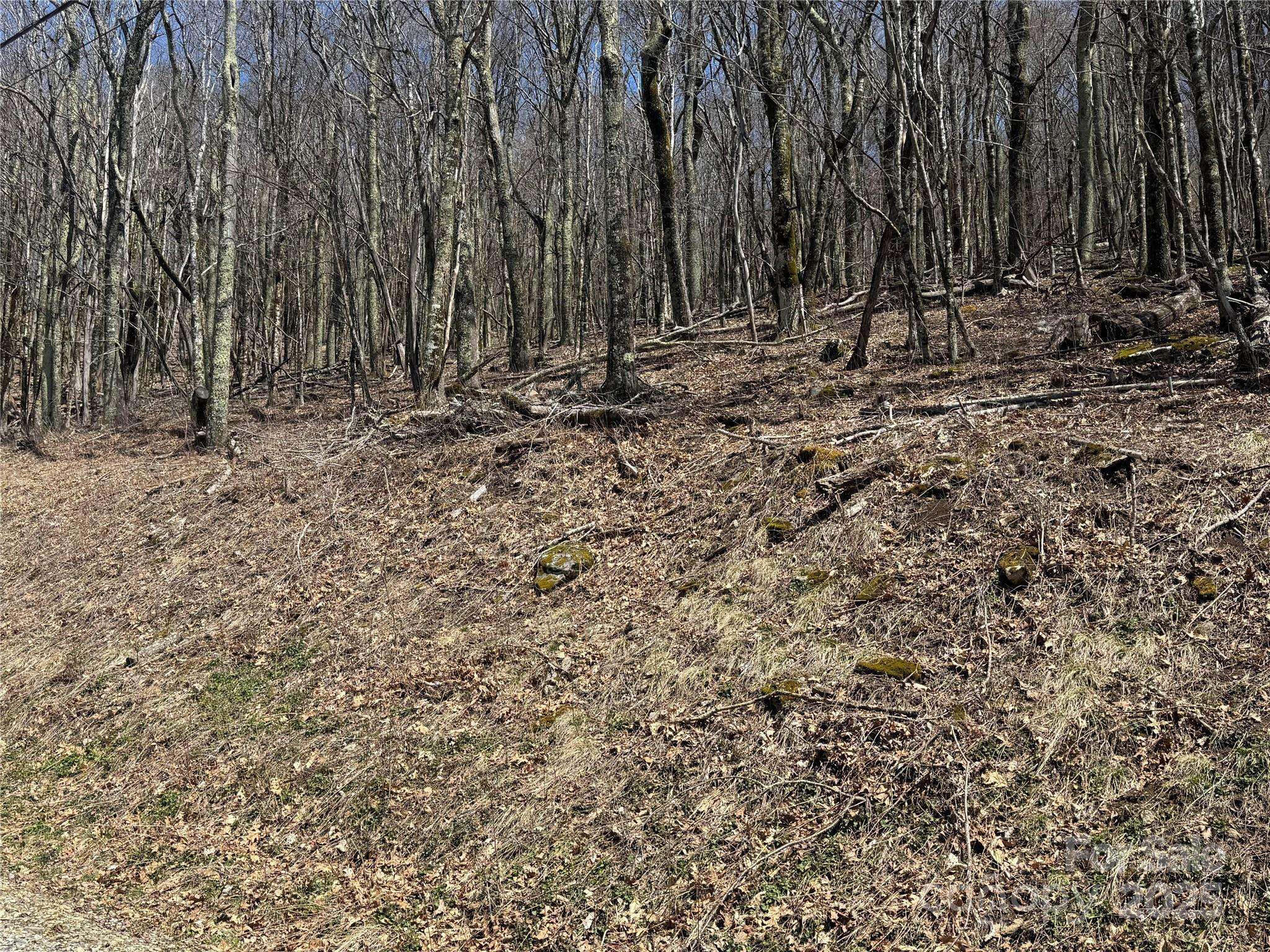 244 & 245 Grouse Thicket LN, Mars Hill, NC 28754