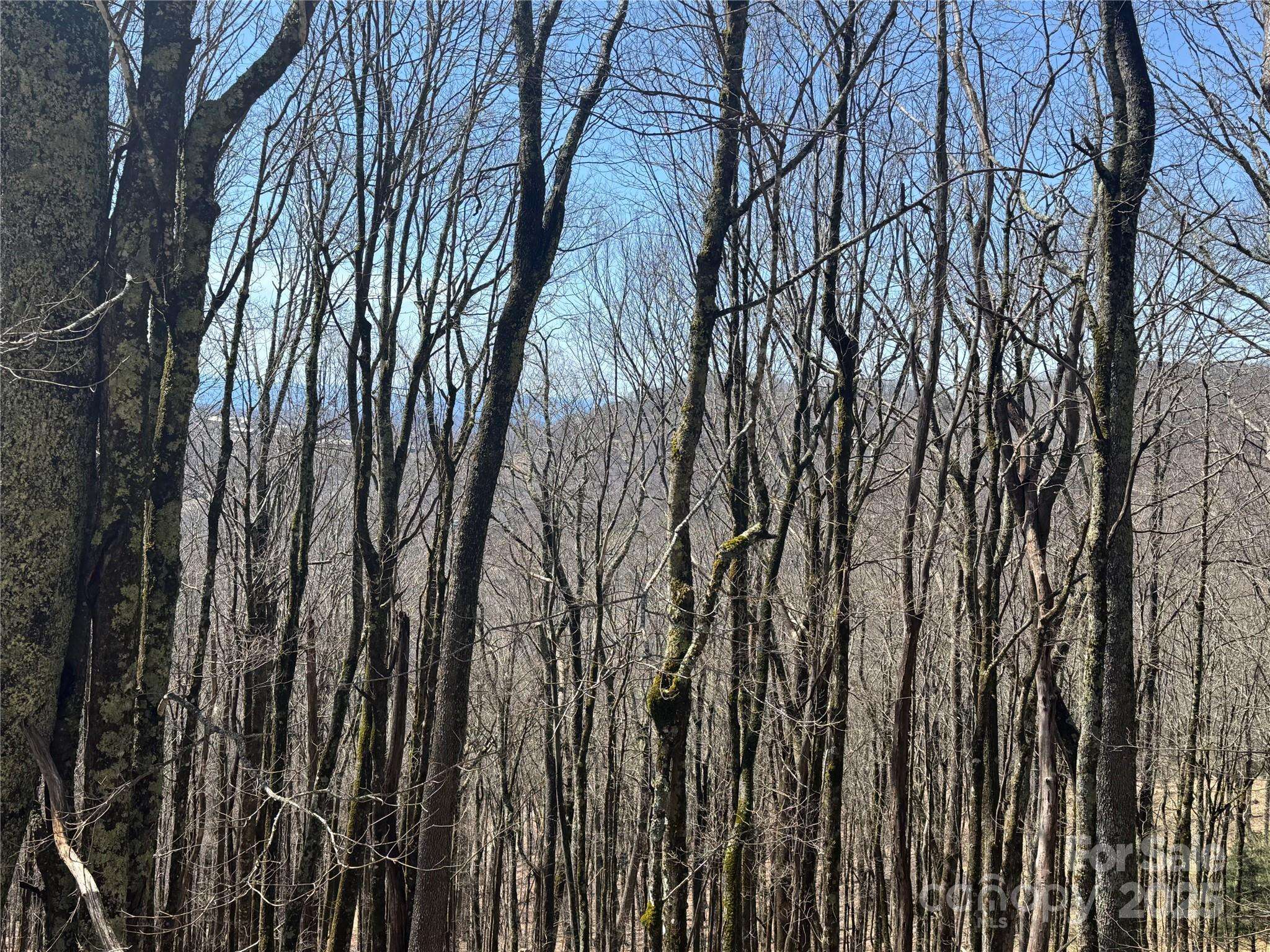 244 & 245 Grouse Thicket LN, Mars Hill, NC 28754