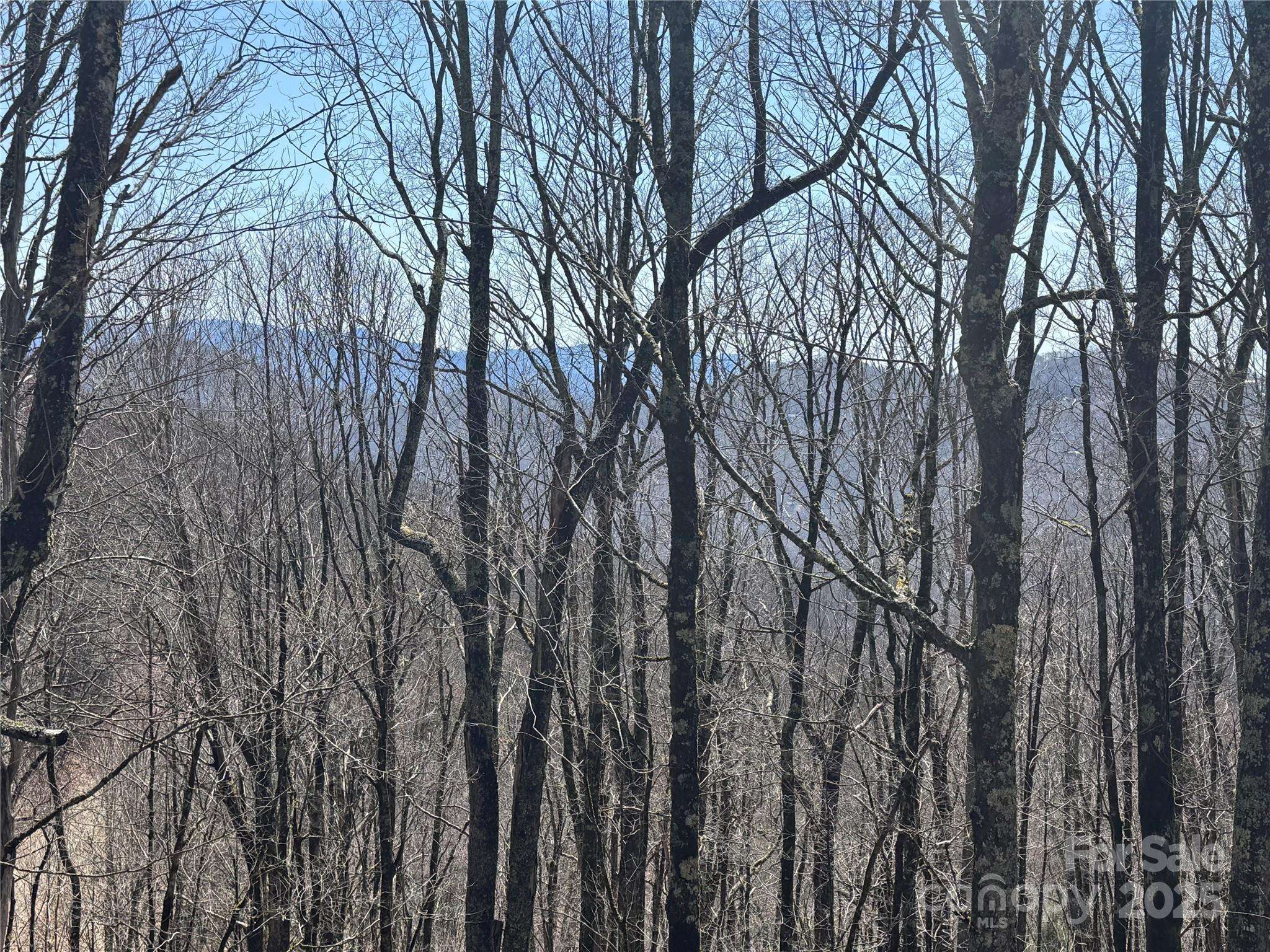 261 Grouse Thicket LN, Mars Hill, NC 28754