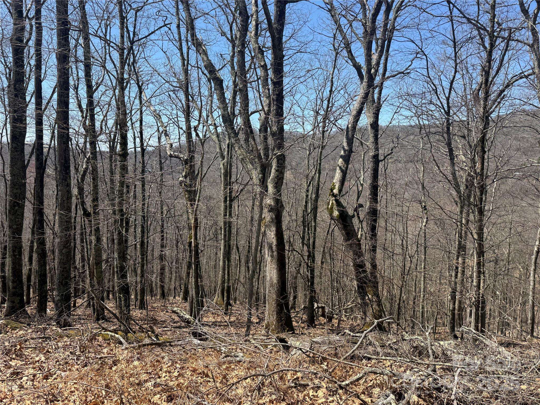 334-335-336 Hamlin LN, Mars Hill, NC 28754