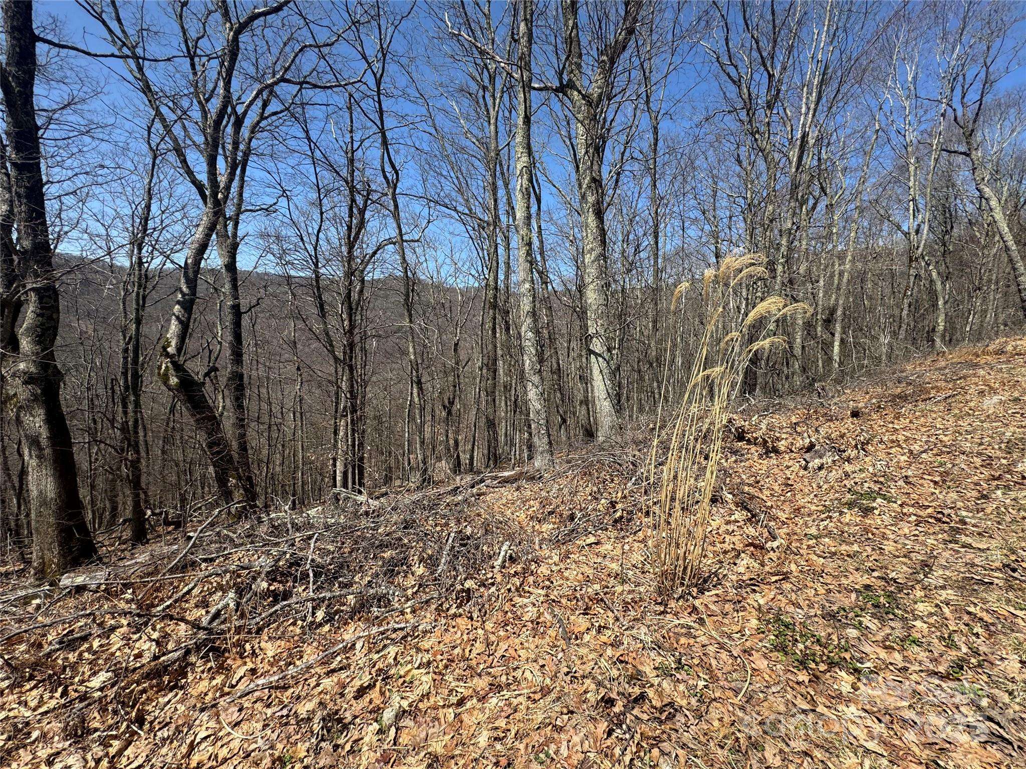 334-335-336 Hamlin LN, Mars Hill, NC 28754