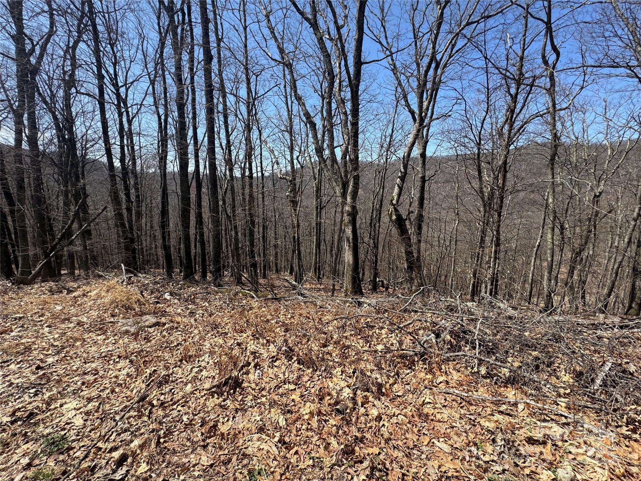 334-335-336 Hamlin LN, Mars Hill, NC 28754
