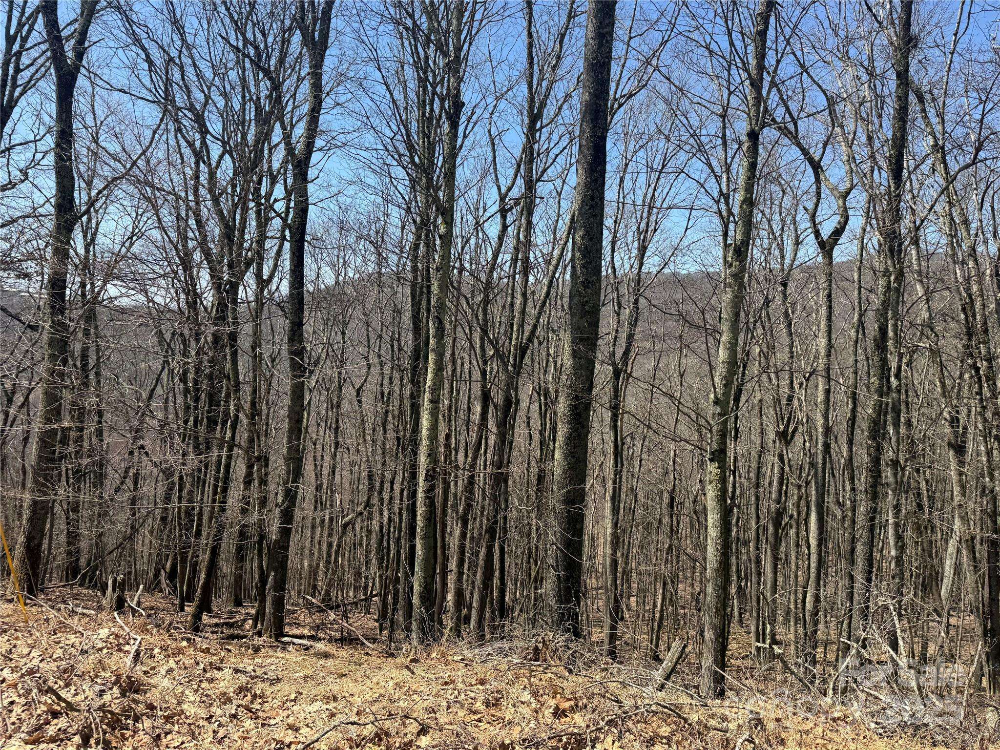 334-335-336 Hamlin LN, Mars Hill, NC 28754