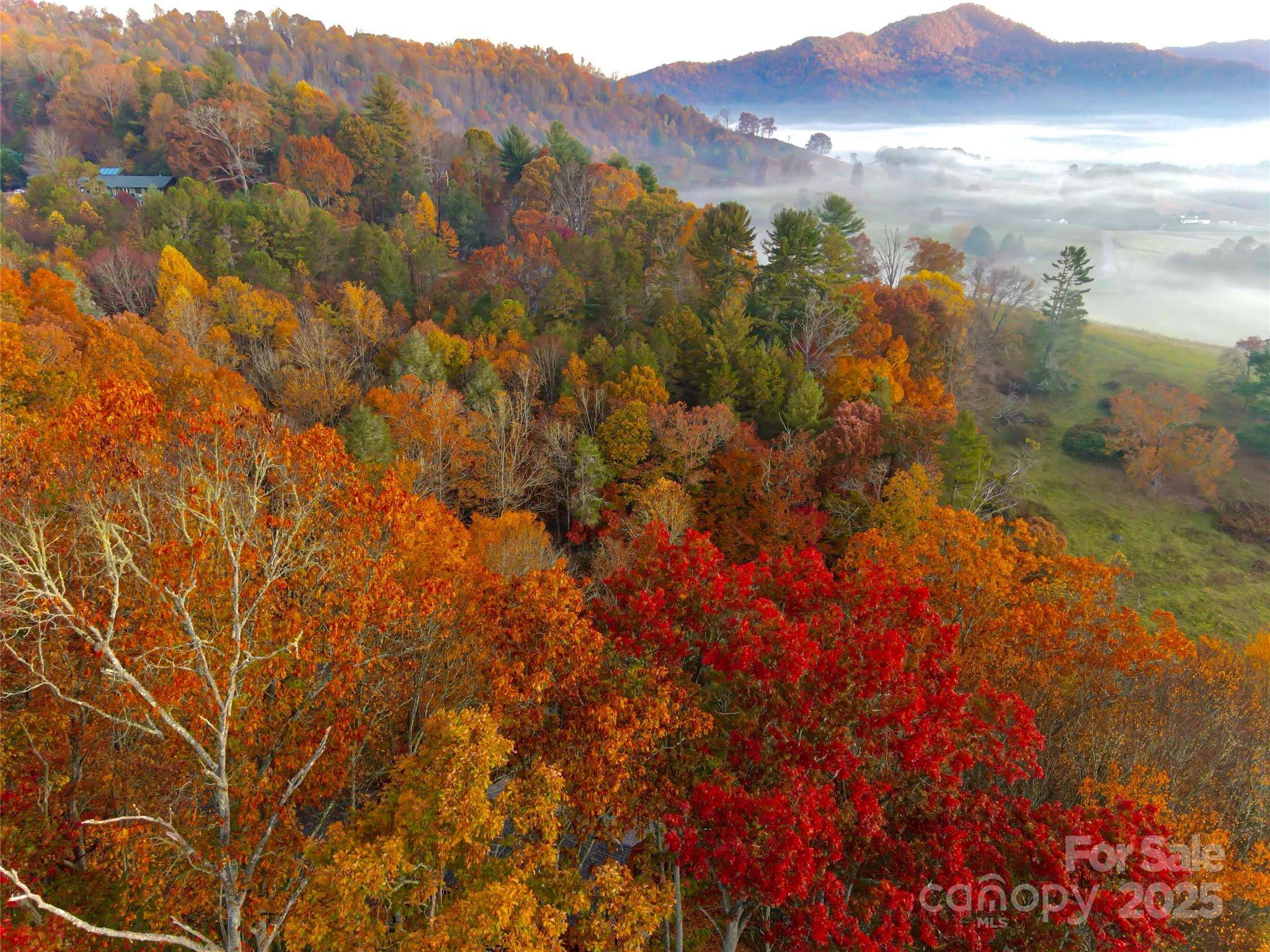 999 Coyote Hollow RD #39, Waynesville, NC 28785