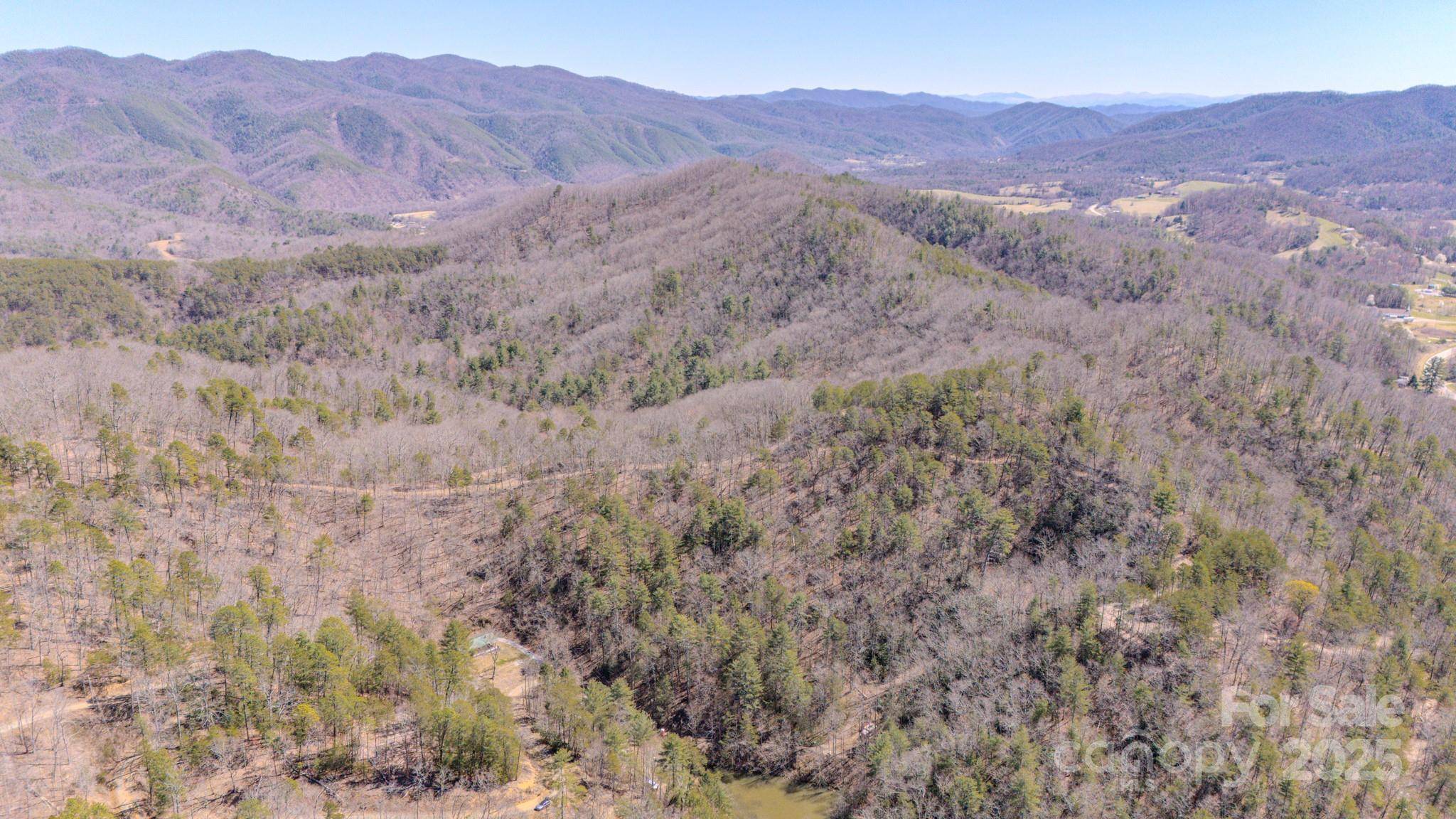 TBD Plum Tree Holler DR, Hot Springs, NC 28743