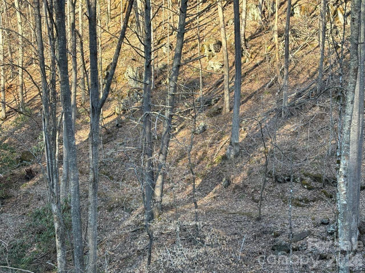 324 Marble Mine RD, Bakersville, NC 28705