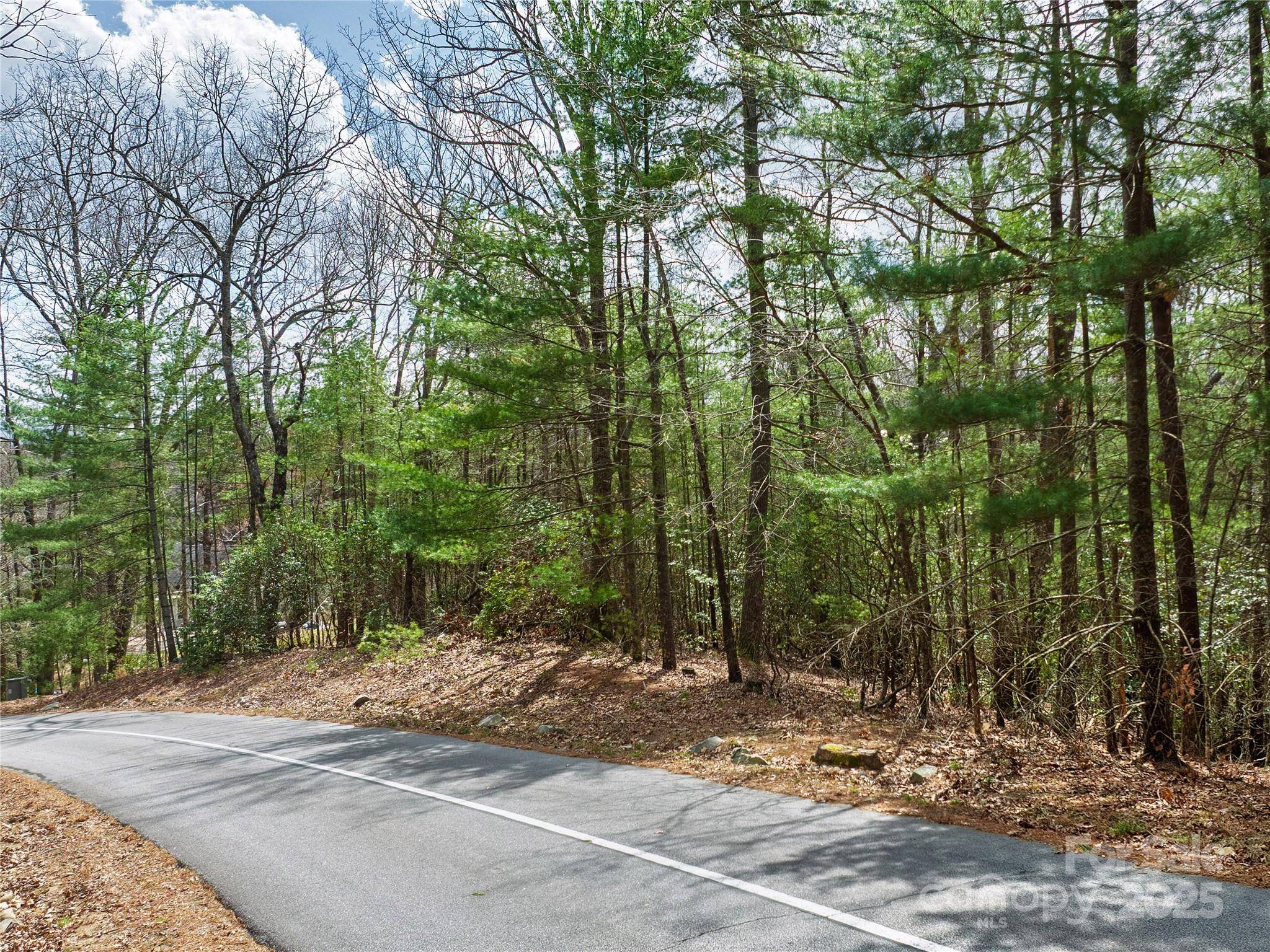 Lot 71 South Ridge DR, Hendersonville, NC 28739