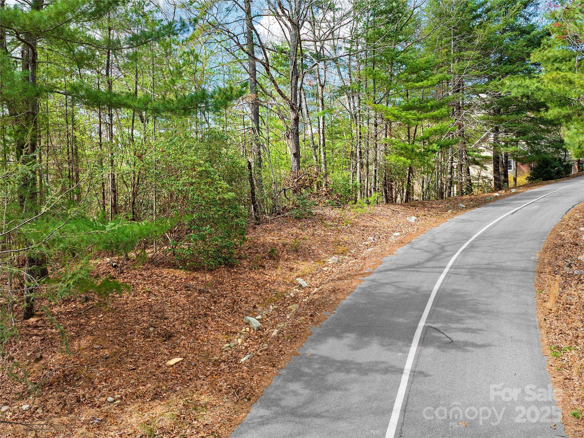 Lot 71 South Ridge DR, Hendersonville, NC 28739
