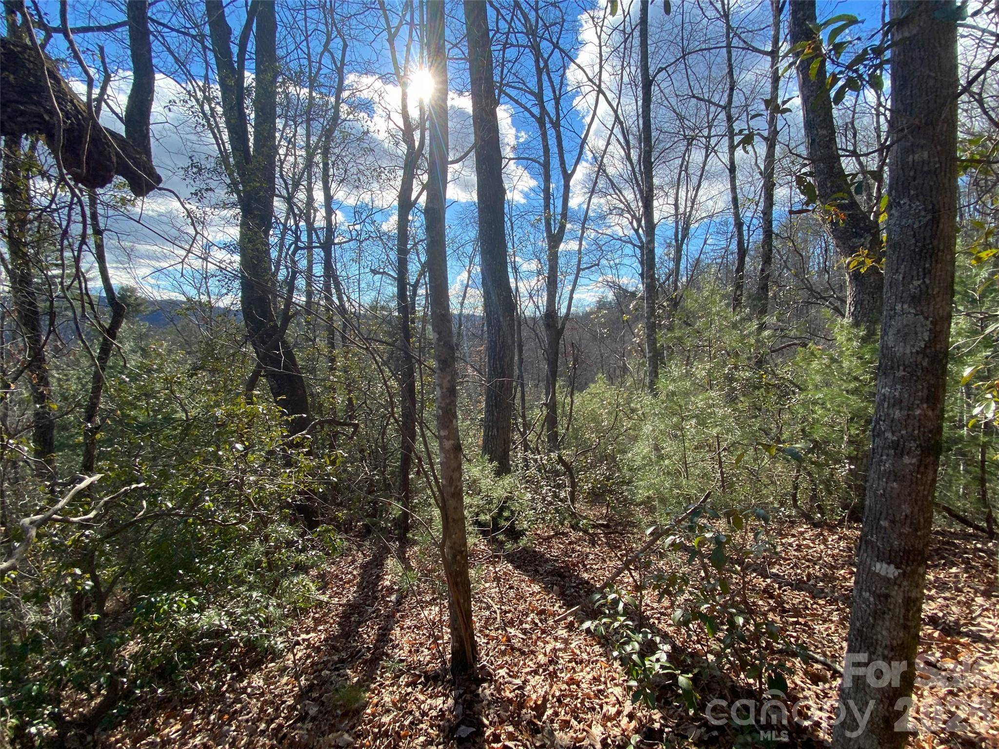999 High Point TRL #32, Brevard, NC 28712