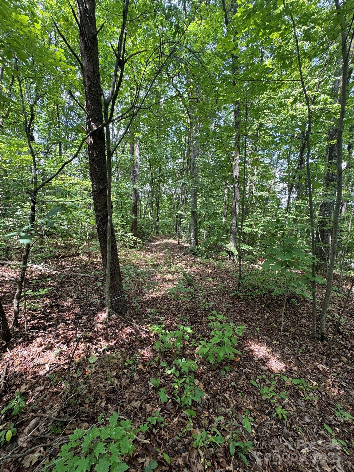 00 Pinnacle Pkwy, Union Mills, NC 28167