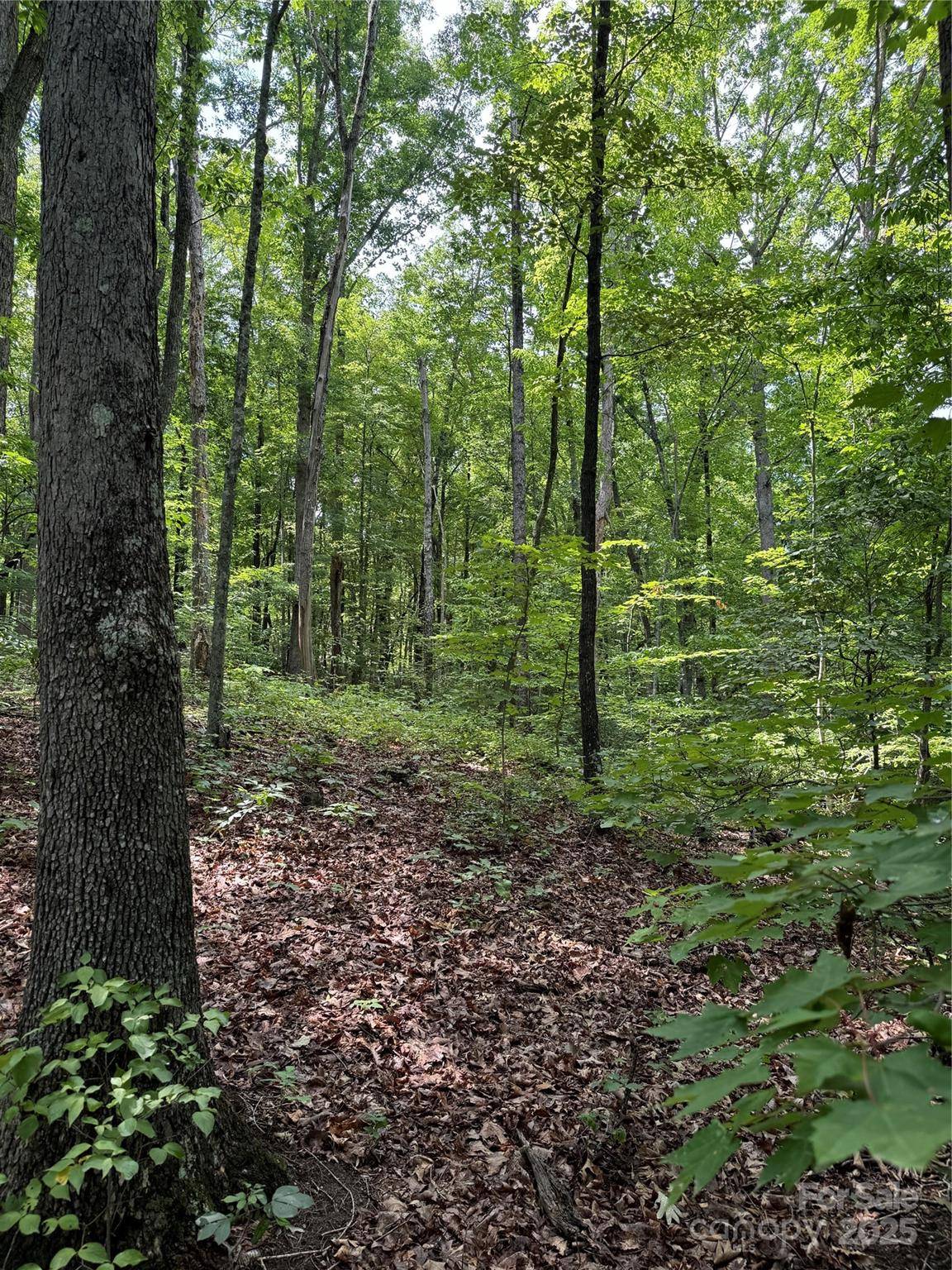 00 Pinnacle Pkwy, Union Mills, NC 28167