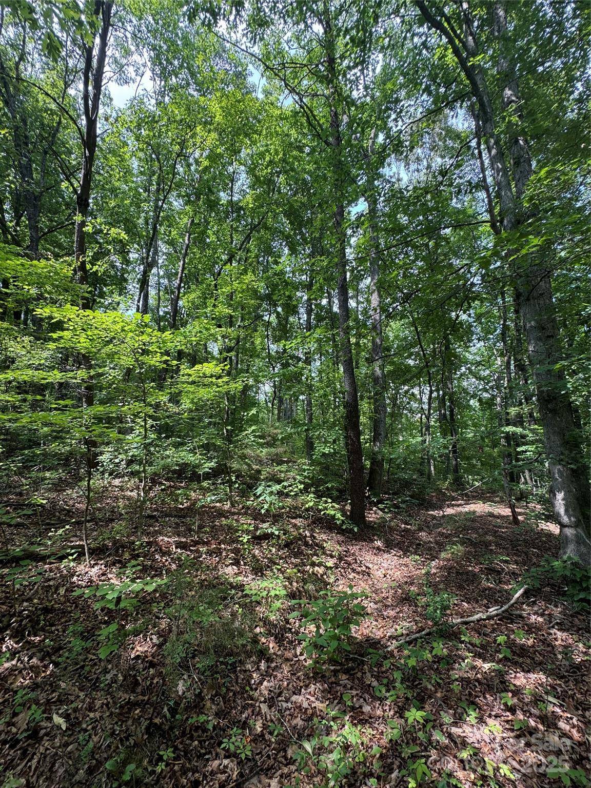 00 Pinnacle Pkwy, Union Mills, NC 28167
