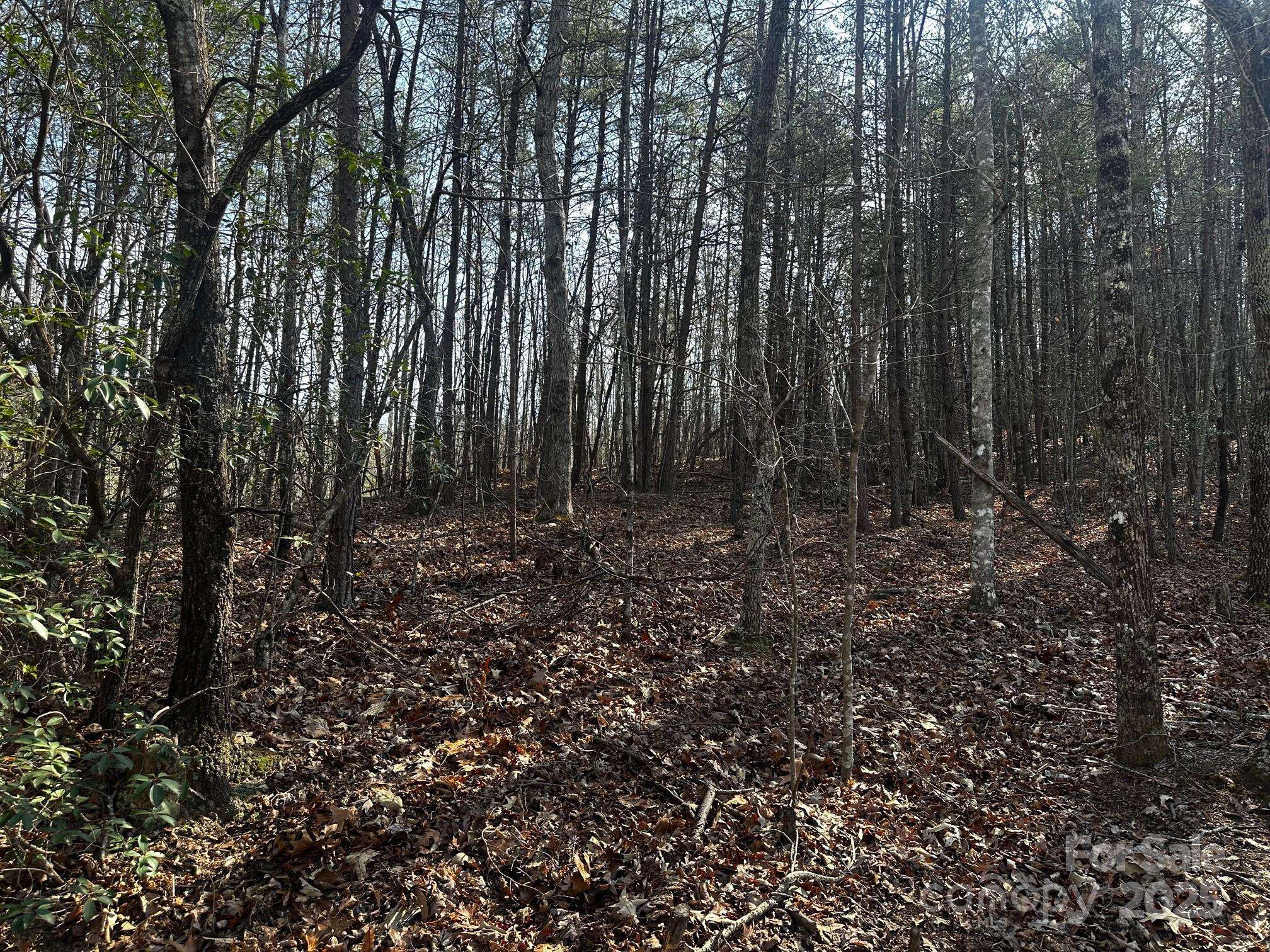 0000 Grassy Knob RD, Lake Lure, NC 28746