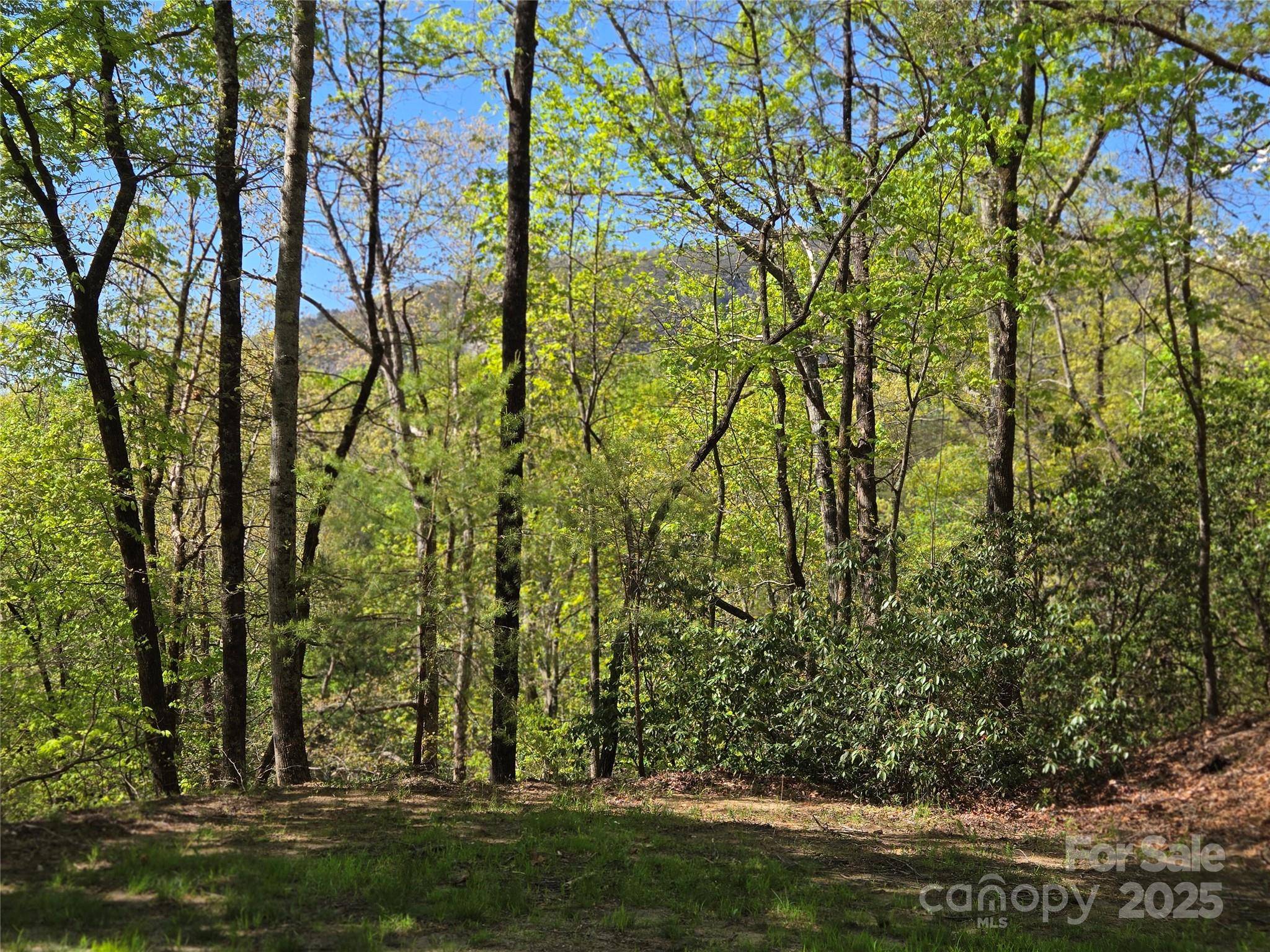 Lot 64 &  65 Walnut LN, Lake Lure, NC 28746