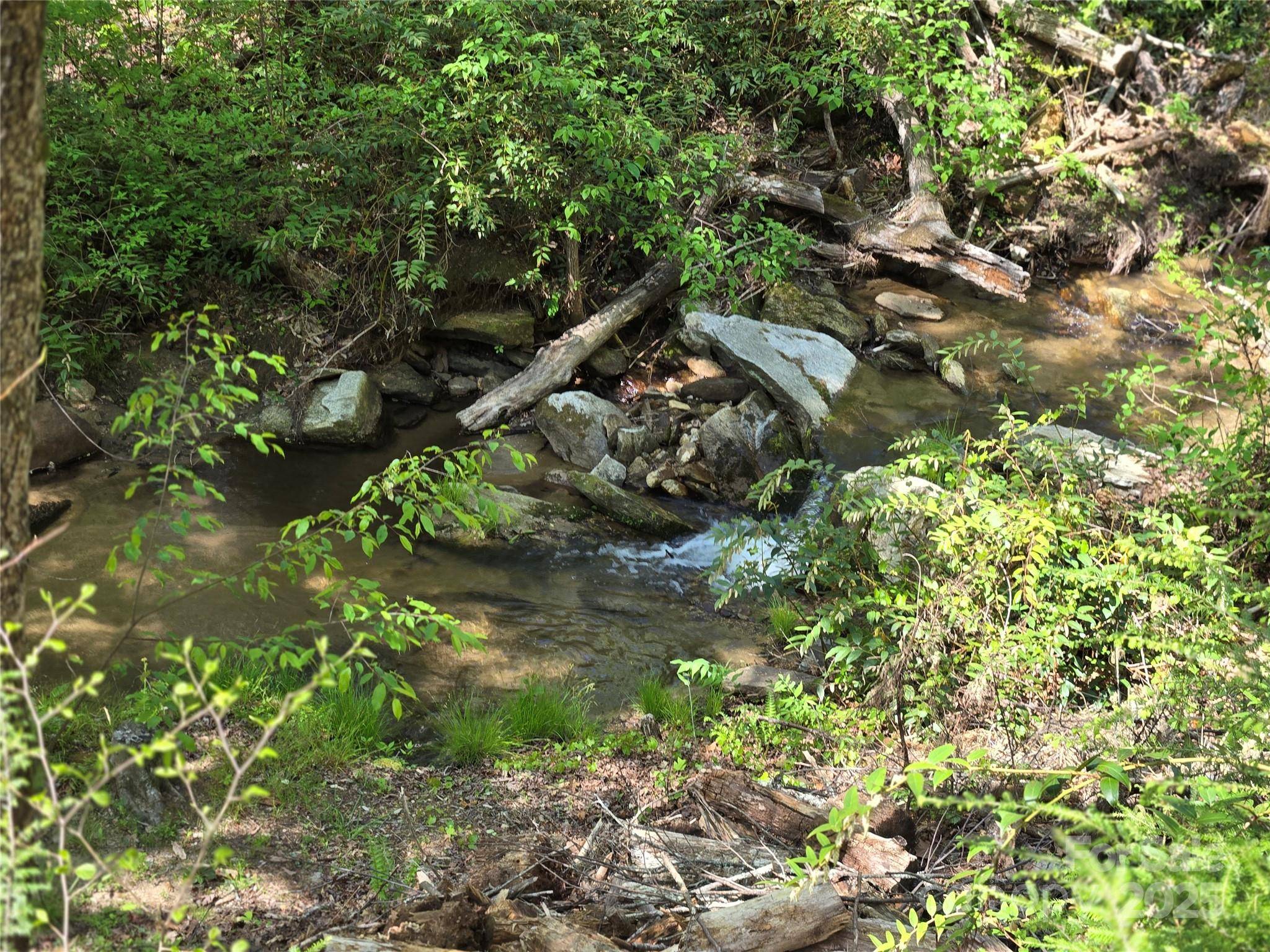 Lot 64 &  65 Walnut LN, Lake Lure, NC 28746