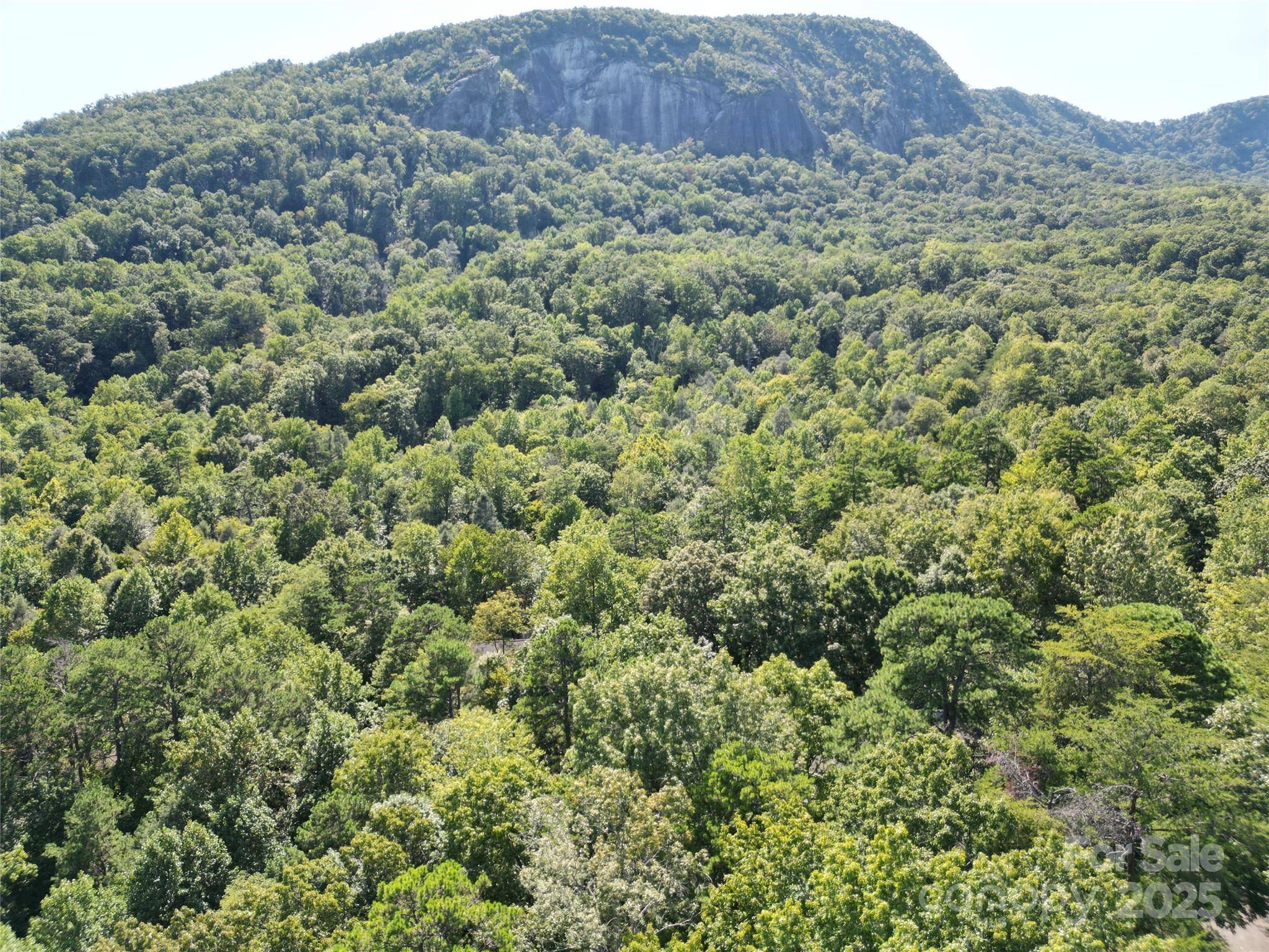 Lot 64 &  65 Walnut LN, Lake Lure, NC 28746
