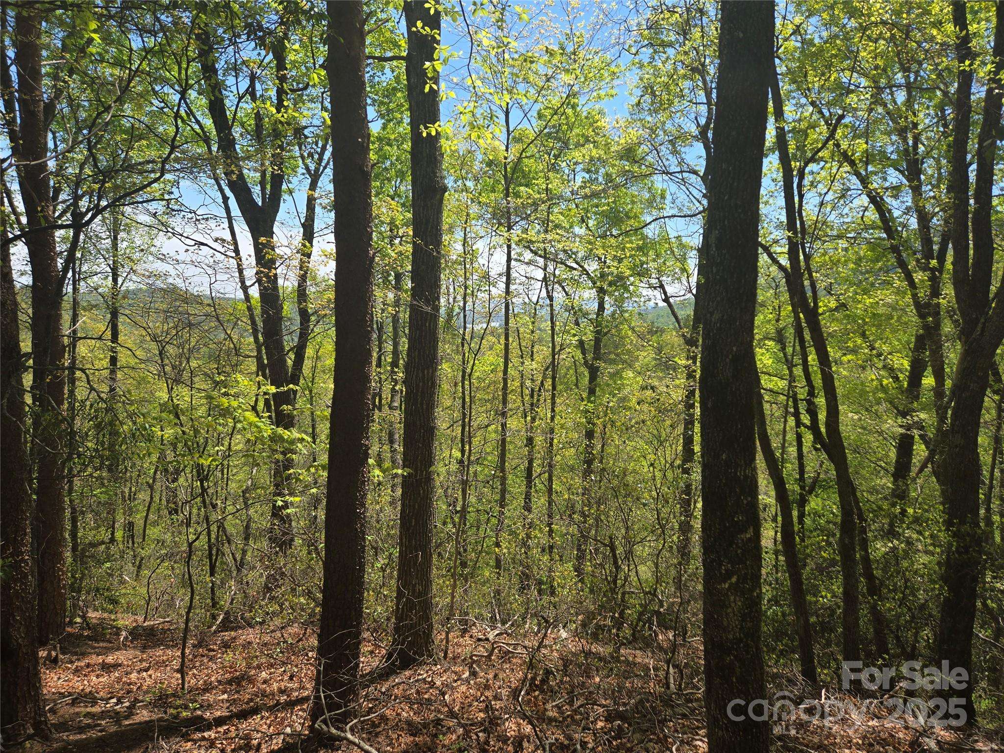 Lot 114 Summit CT, Lake Lure, NC 28746