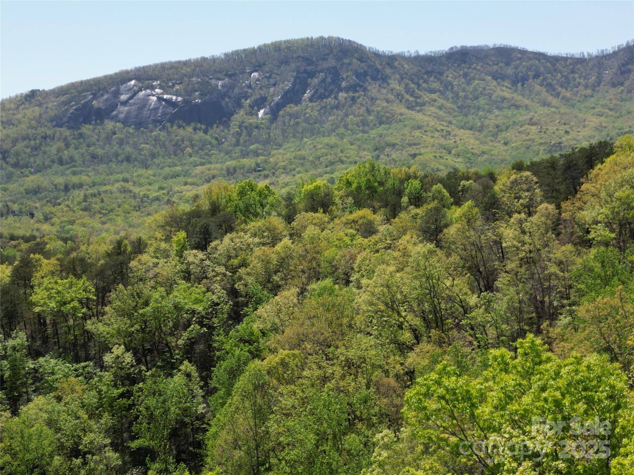 Lot 114 Summit CT, Lake Lure, NC 28746