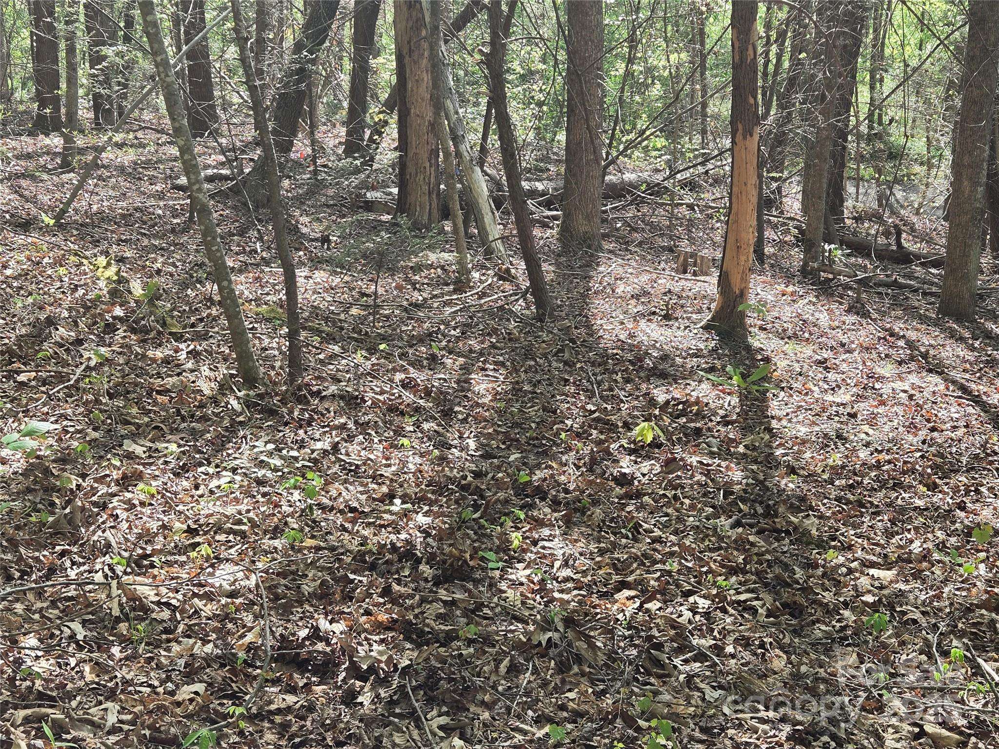 Lot 172 West Lake DR N, Lake Lure, NC 28746