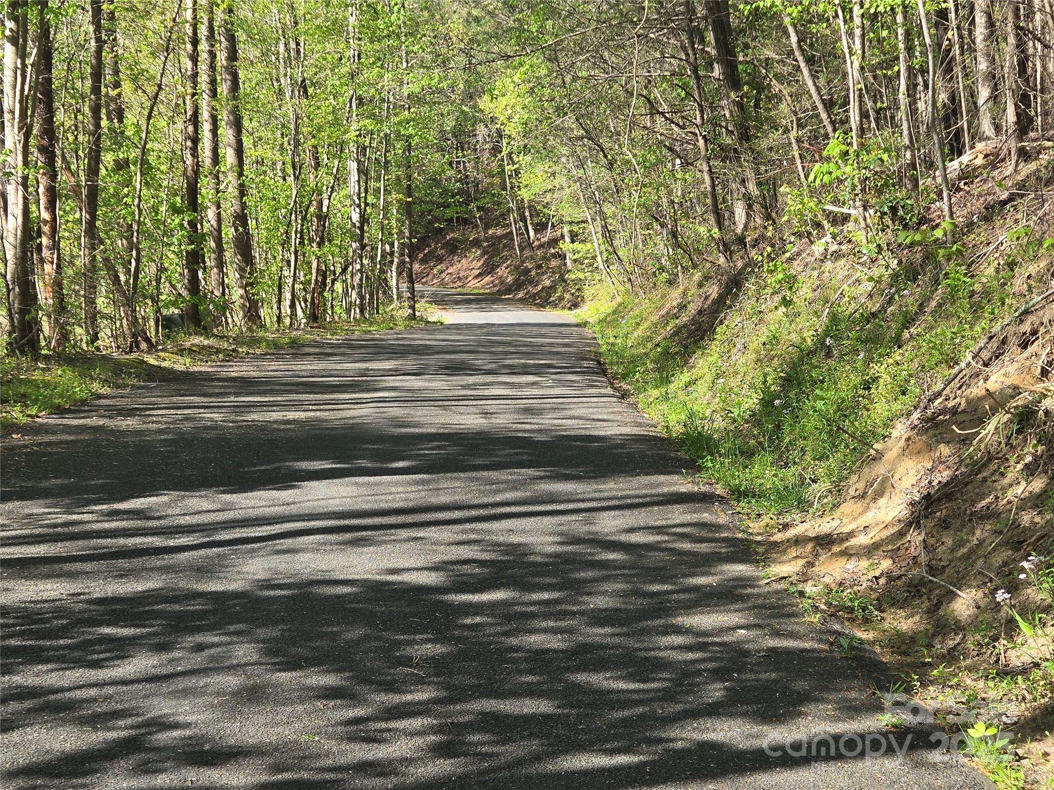 Lot 172 West Lake DR N, Lake Lure, NC 28746