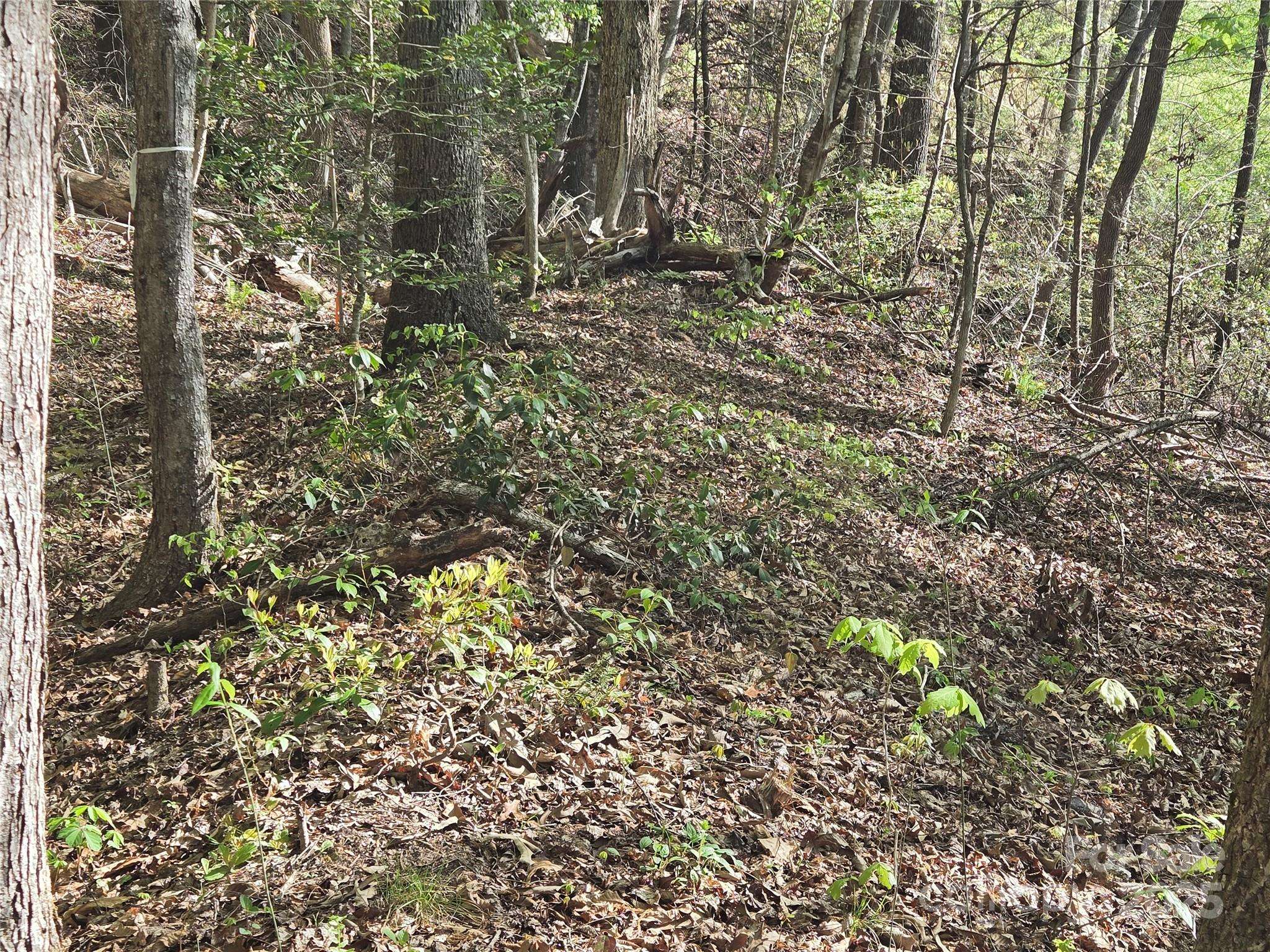 Lot 172 West Lake DR N, Lake Lure, NC 28746