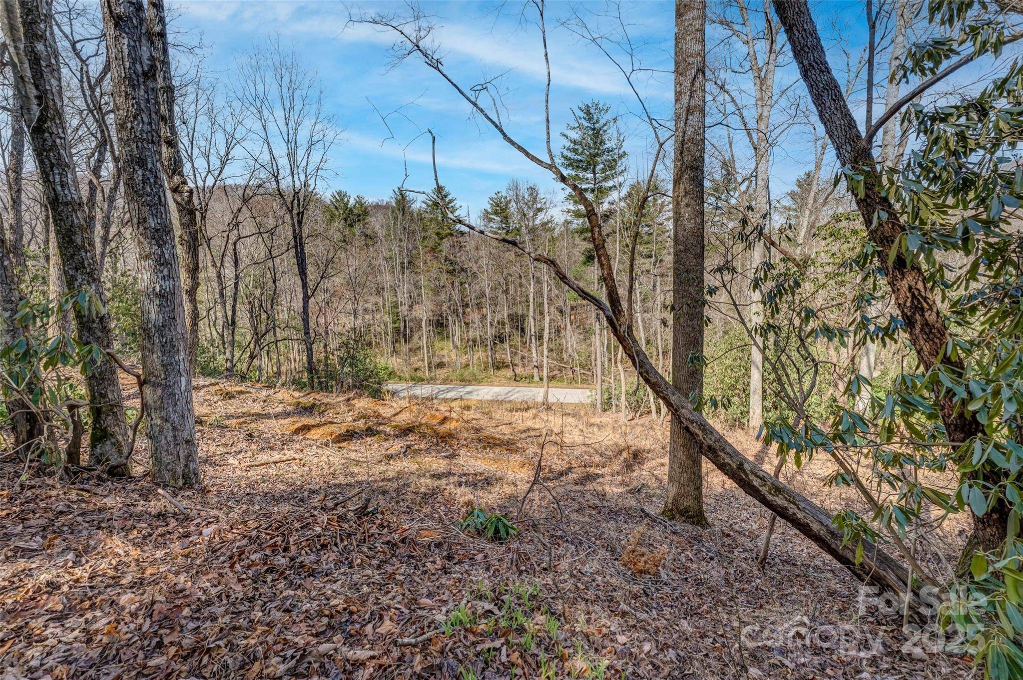 99999 Christa LN #3, Arden, NC 28742