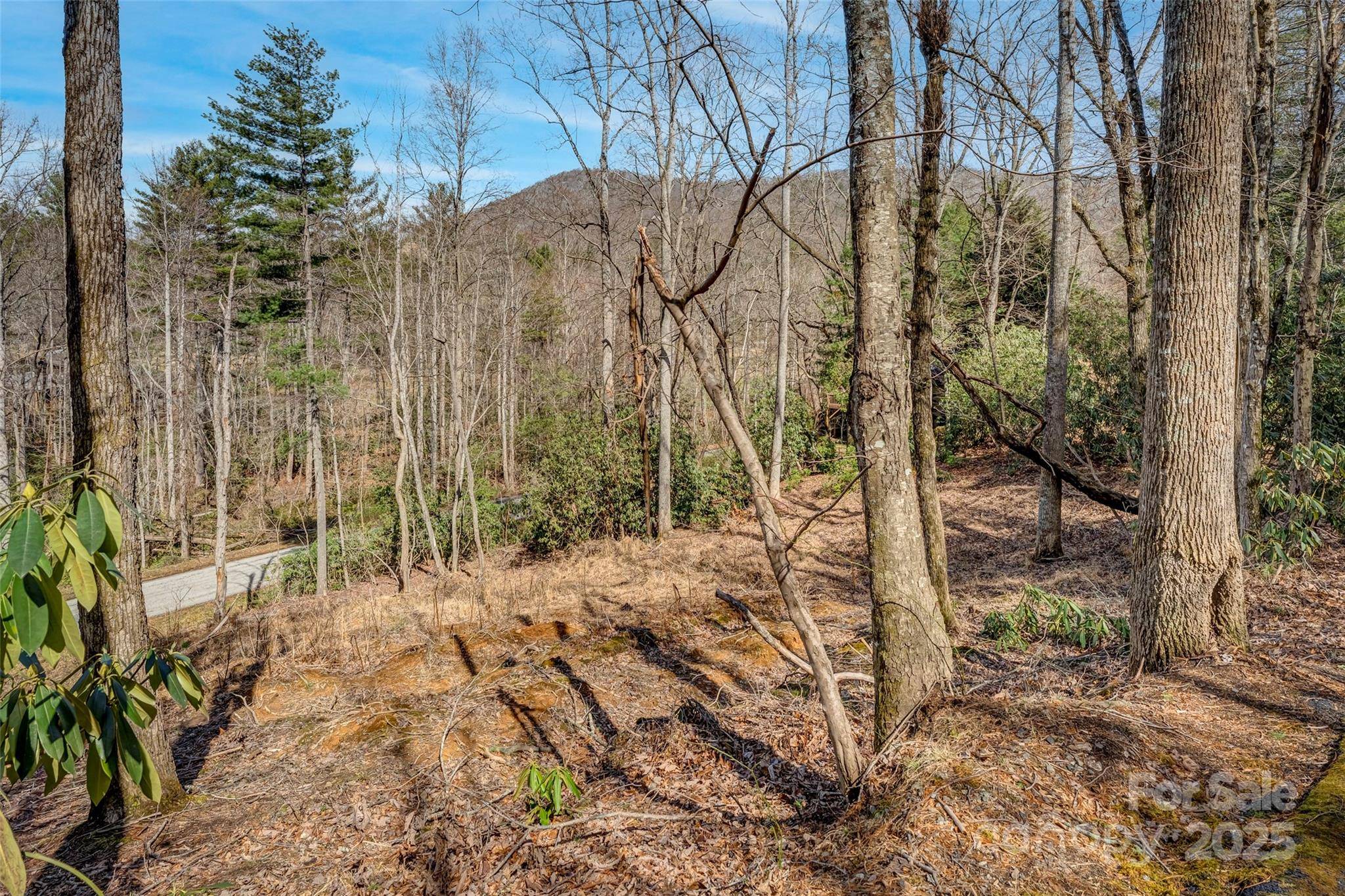 99999 Christa LN #3, Arden, NC 28742