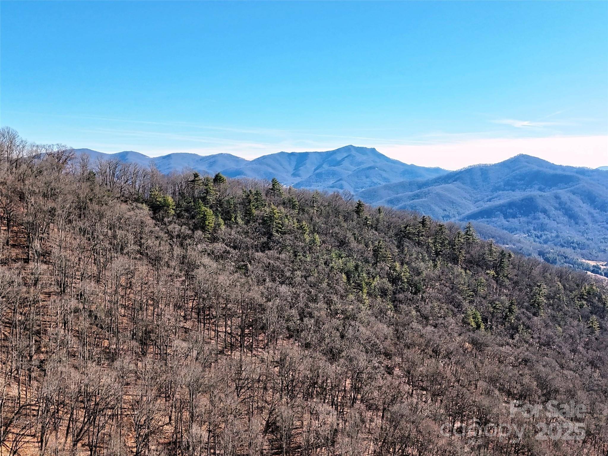 00 Barn Cove RD #61 & 62, Clyde, NC 28721