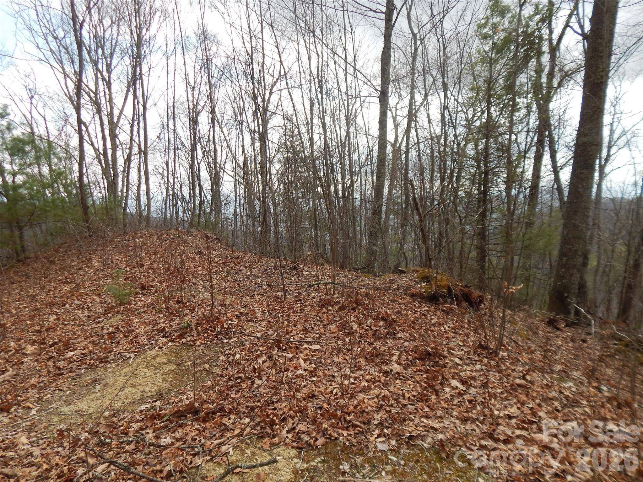 5 Sigogglin TRL, Waynesville, NC 28785