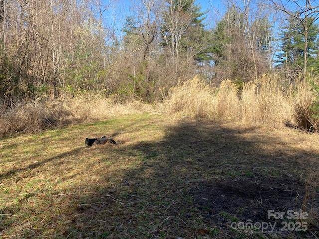 105 Mills Gap RD, Asheville, NC 28803