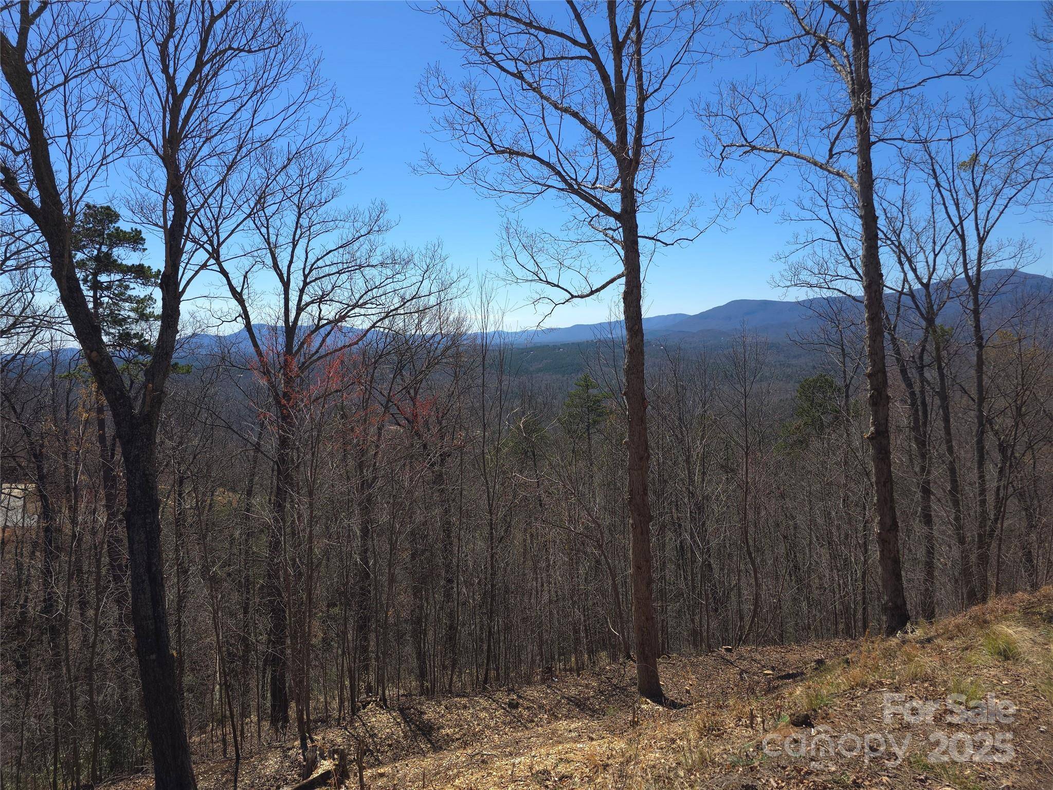 00 Golden Ridge DR #209, Lake Lure, NC 28746