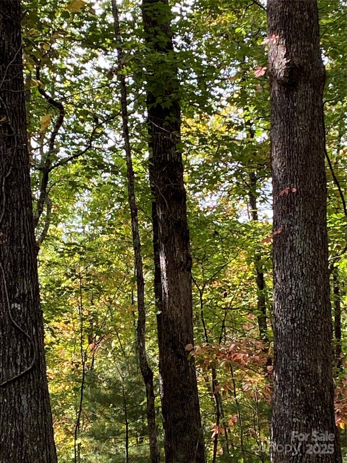 Lot 28 Mentink WAY, Nebo, NC 28761