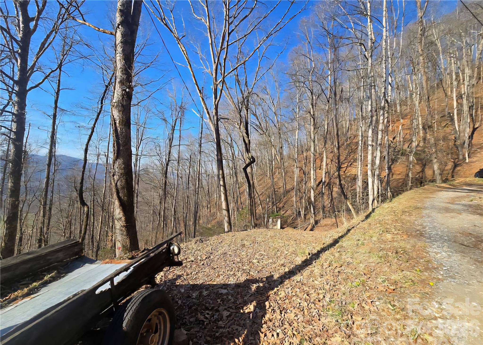 32 Black Mountain RD, Cullowhee, NC 28723