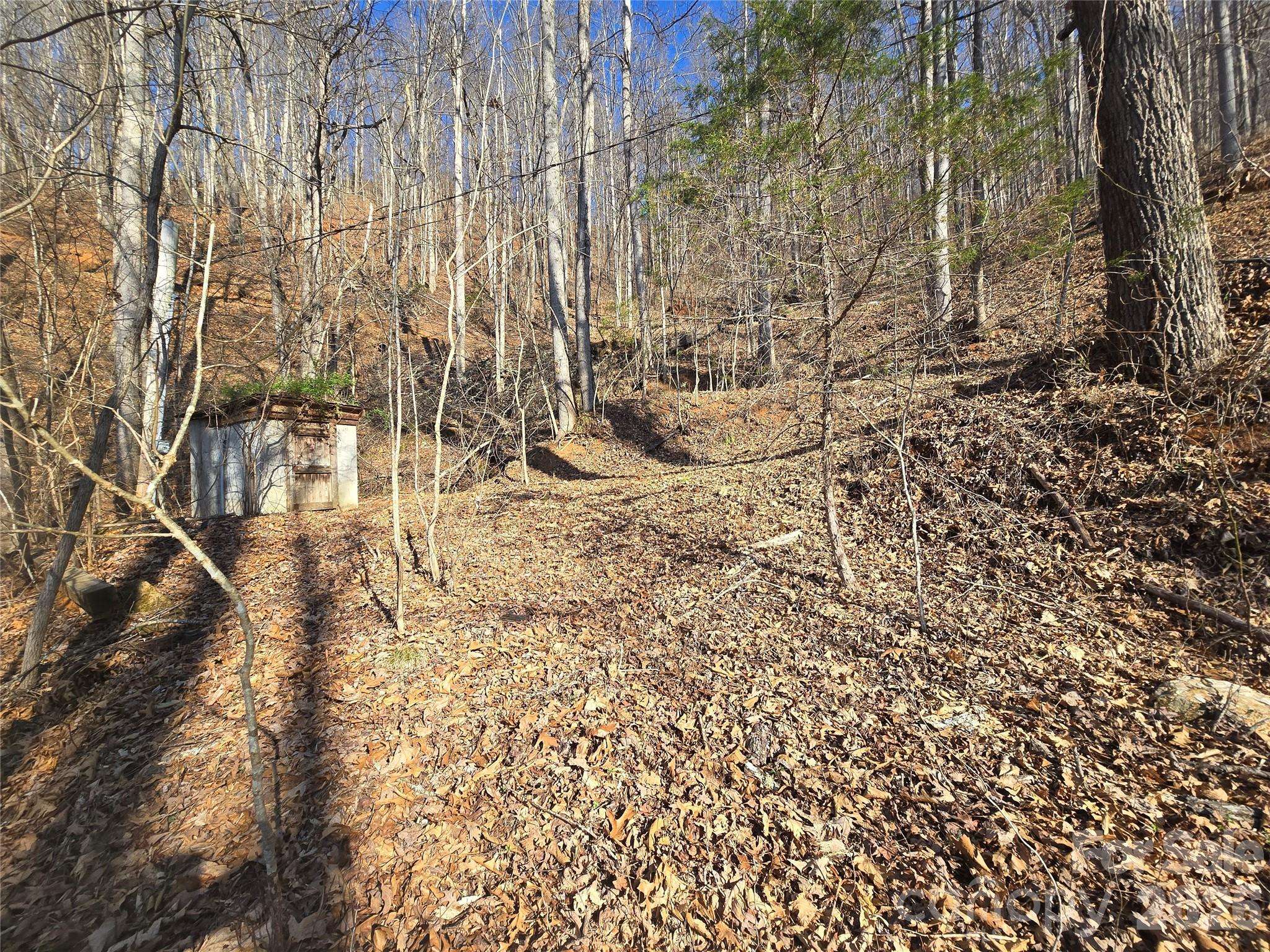 32 Black Mountain RD, Cullowhee, NC 28723