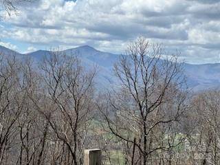 28 Angel RD, Waynesville, NC 28785