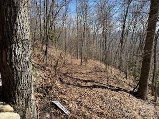 28 Angel RD, Waynesville, NC 28785
