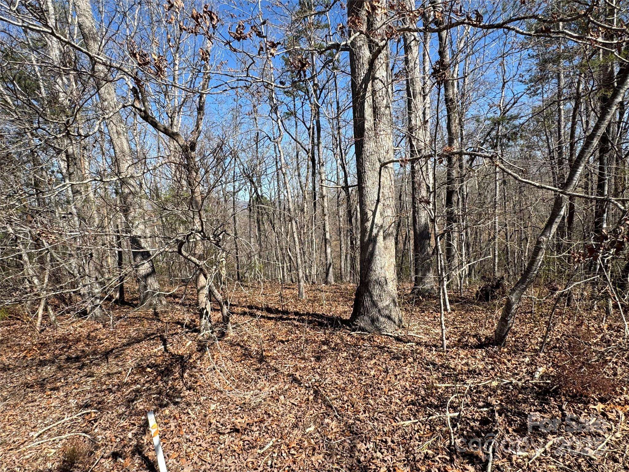 00 Shady Bark LN, Rutherfordton, NC 28139